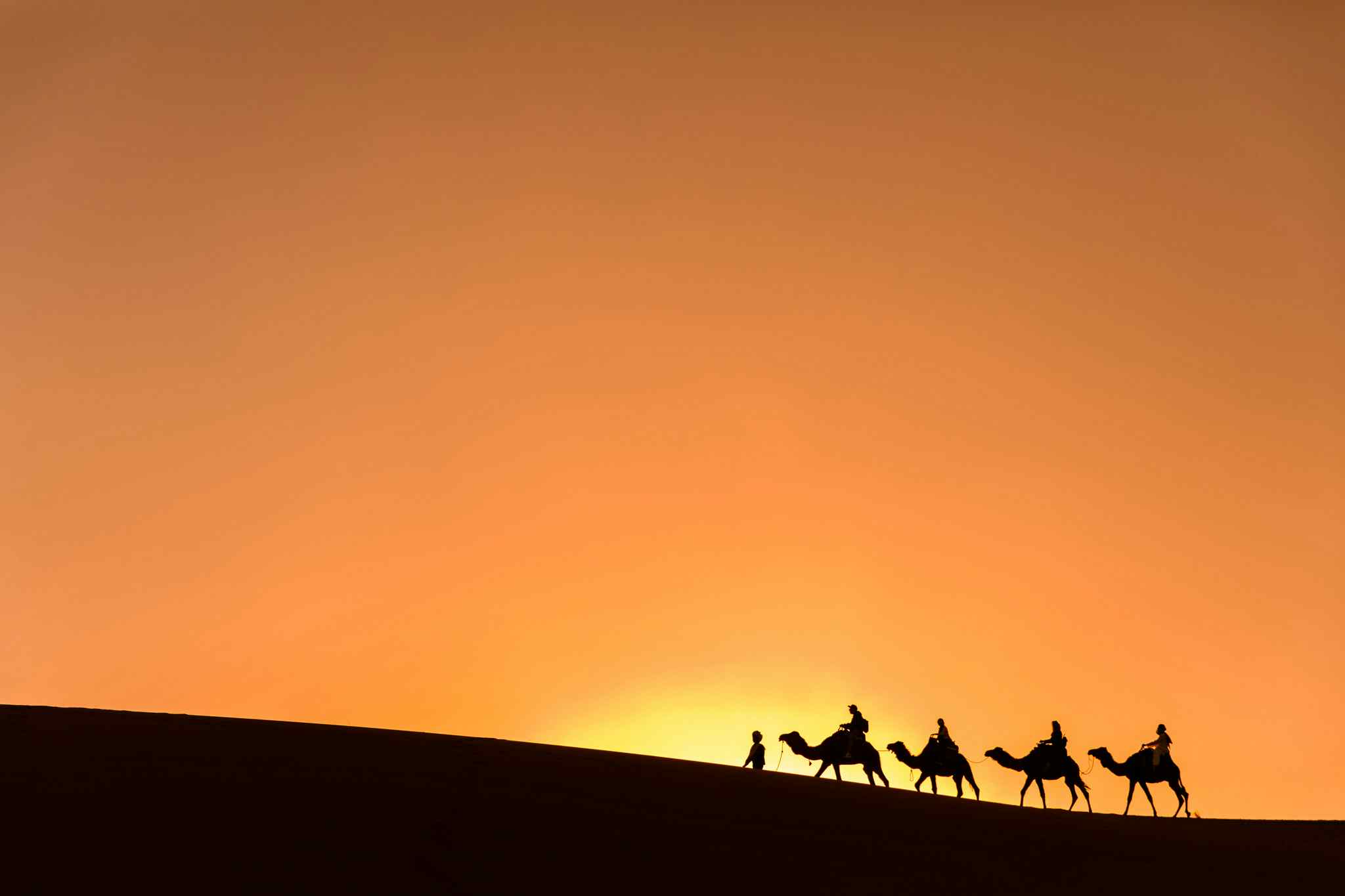 A silhouette of a camel train in the Sahara Desert, Morocco. 