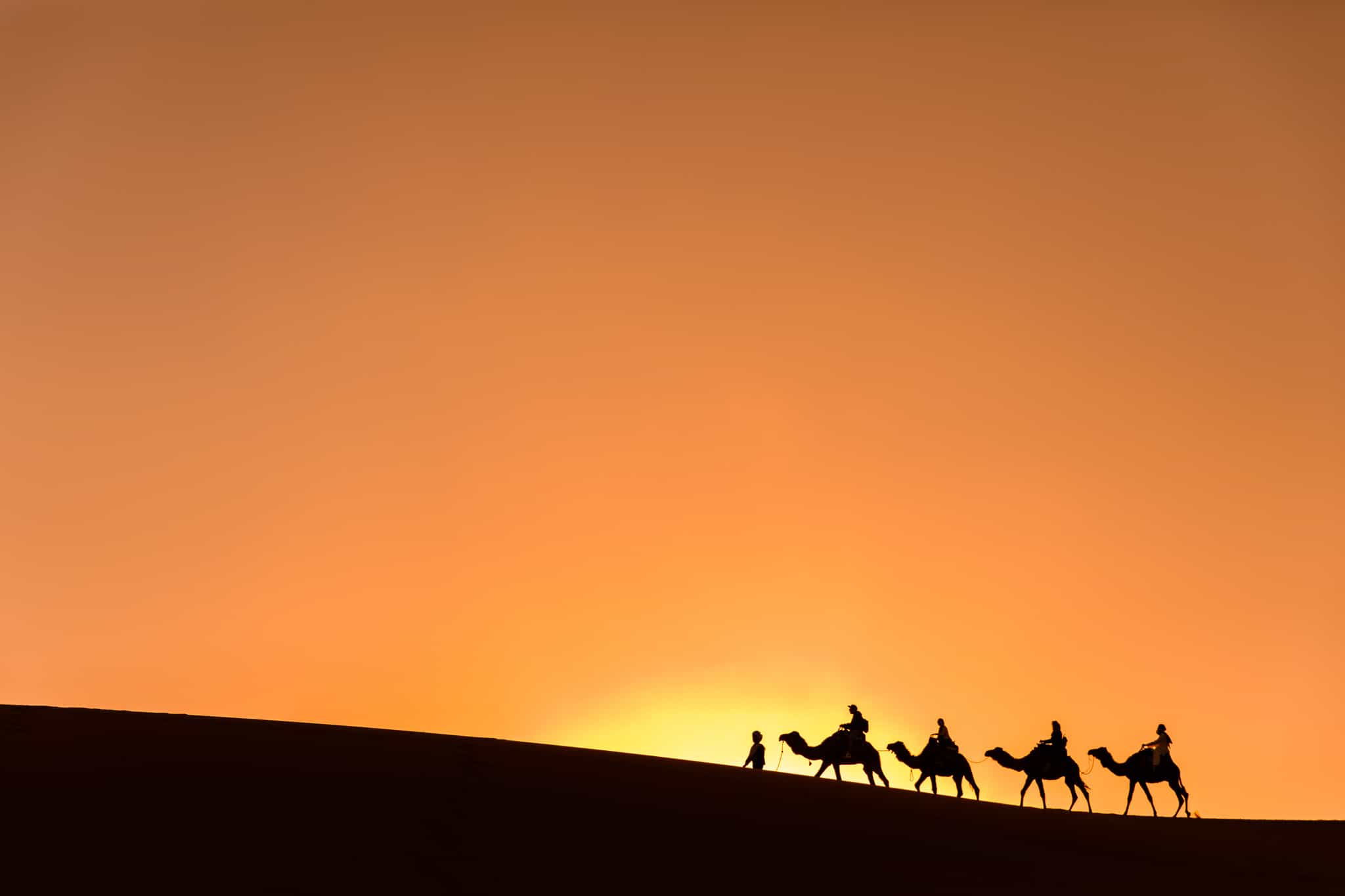 A silhouette of a camel train in the Sahara Desert, Morocco. 