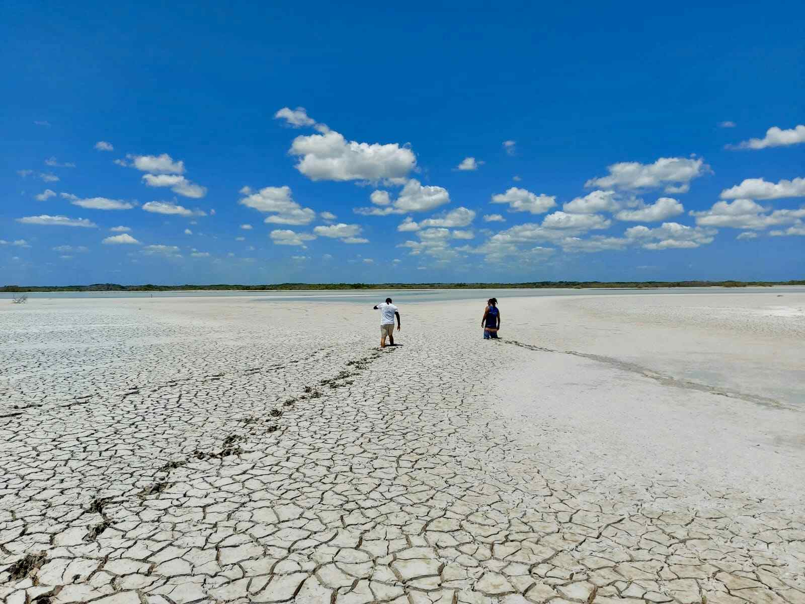 Tourists walking in the muddy Rio Lagartos lagoons, Yucatan, Mexico