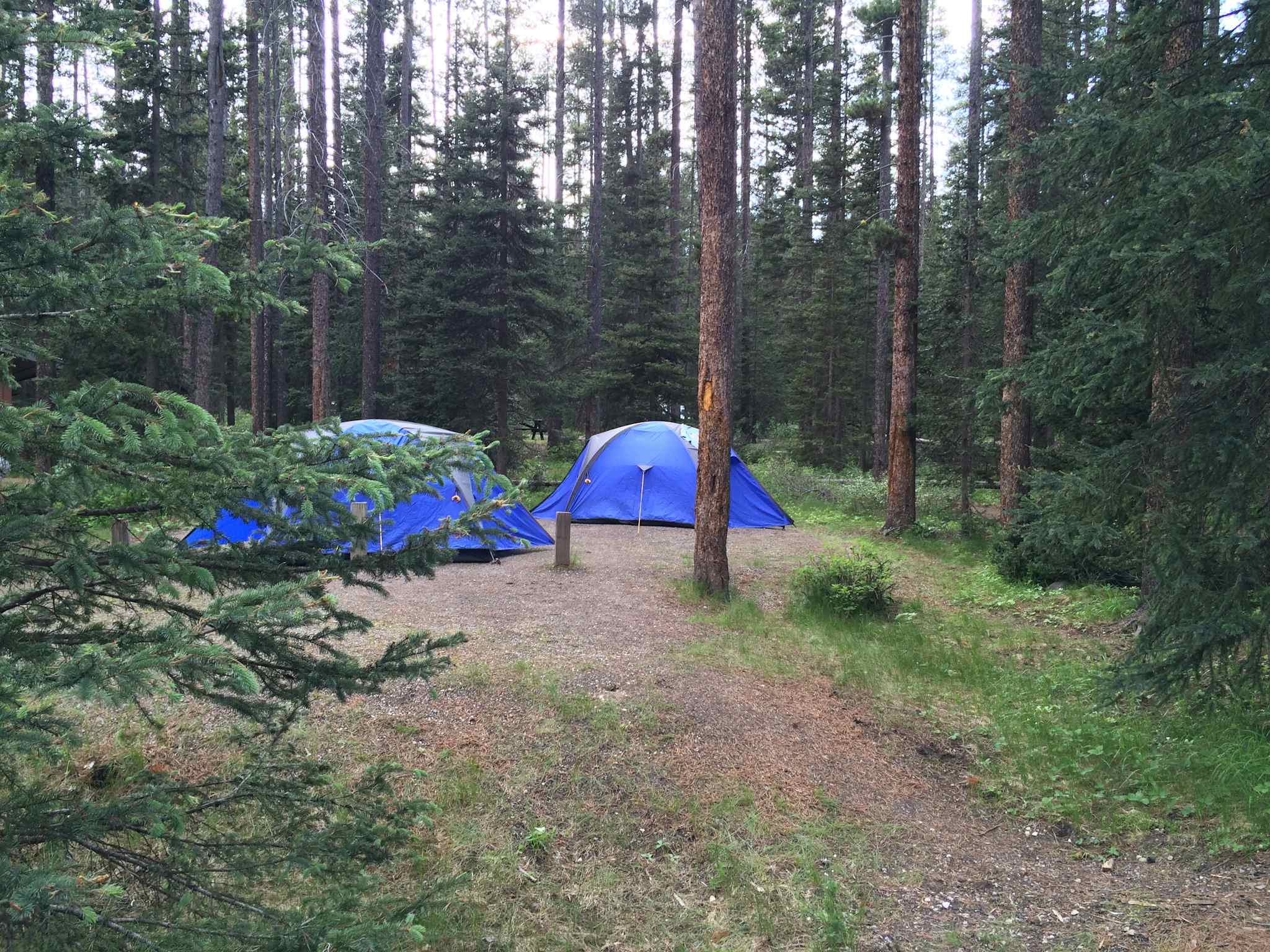 Tents, Campground, Rockies, Canada, Windigo