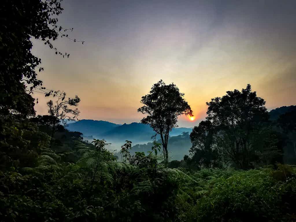 Rwanda landscape. Photo: Host/Kingfisher Journeys - Vysakh R Nambiar