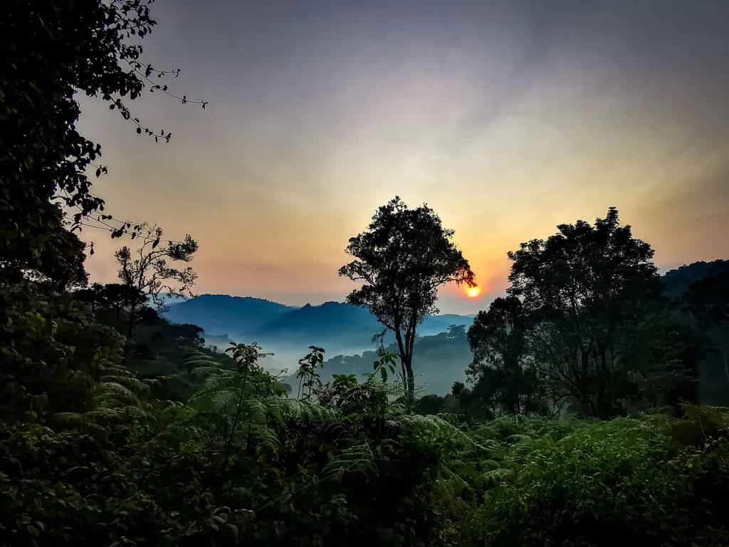 Rwanda landscape. Photo: Host/Kingfisher Journeys - Vysakh R Nambiar