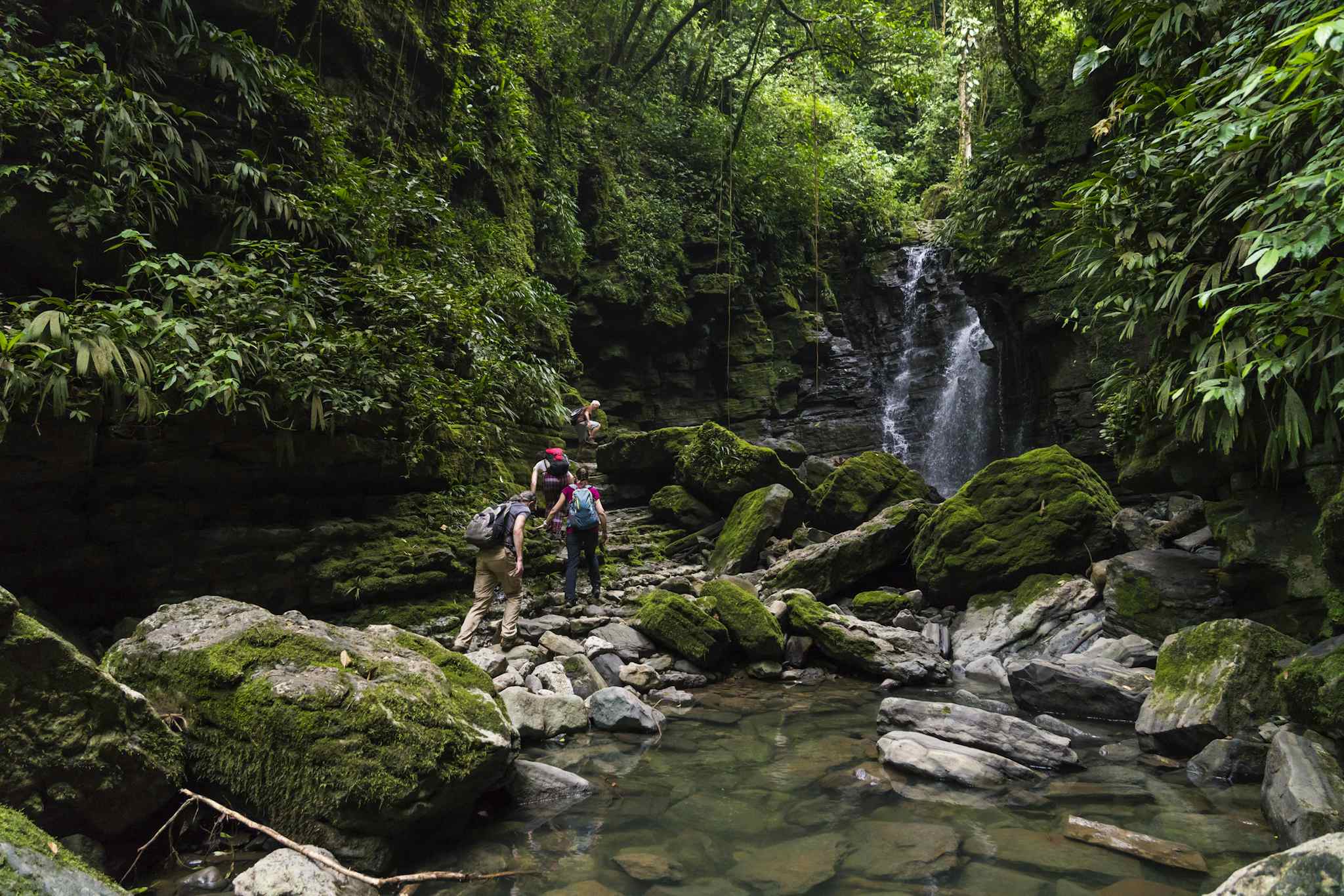 A group hikes next to a river in the Amazon rainforest, Ecuador. 