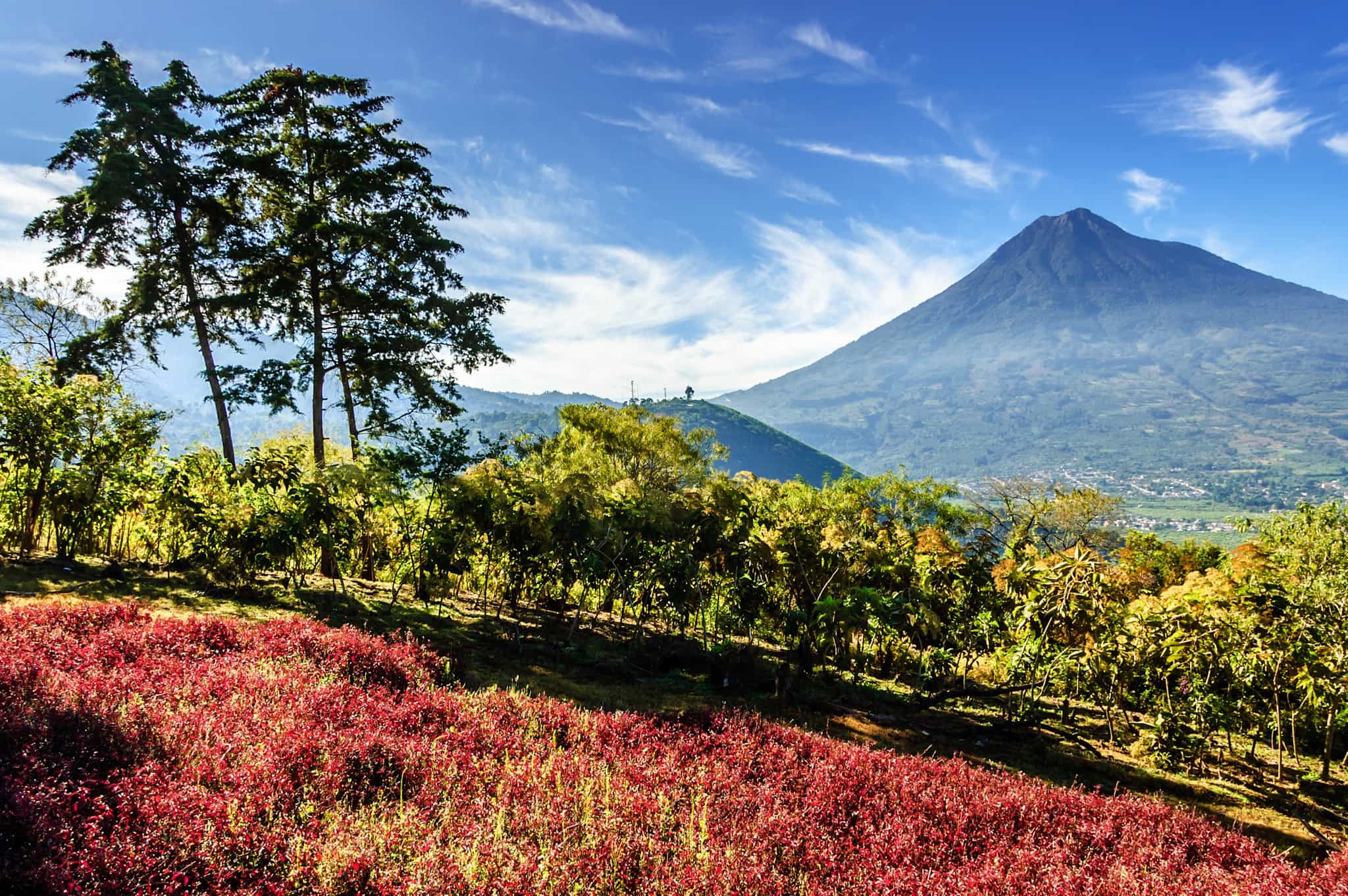 View of Agua volcano from a trail outside of Antigua, Guatemala.