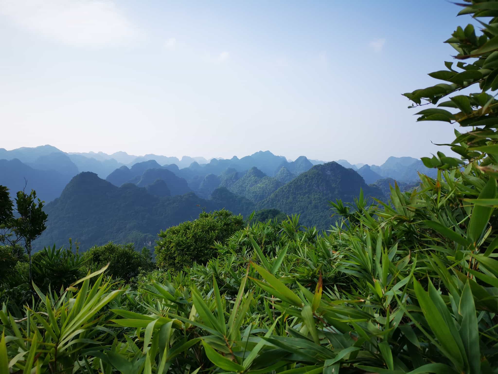 Cat Ba Island