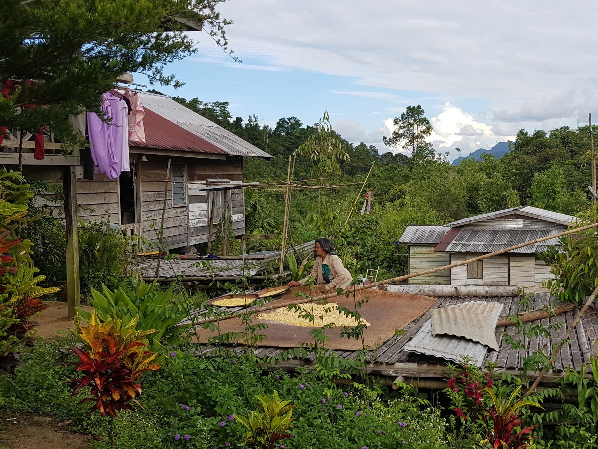 Homestay, Wildlife Adventure in the Jungles of Borneo