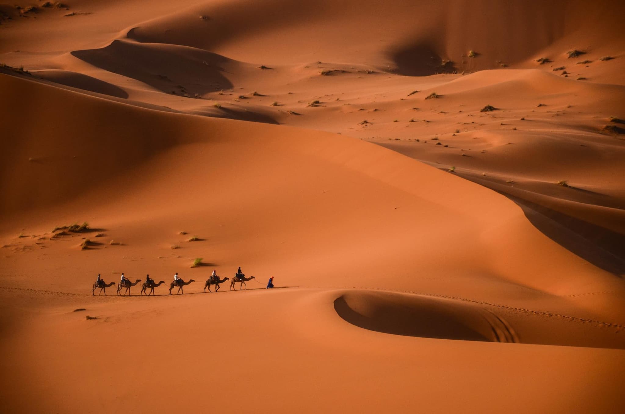 Erg Chebbi, Sahara Desert, Morocco