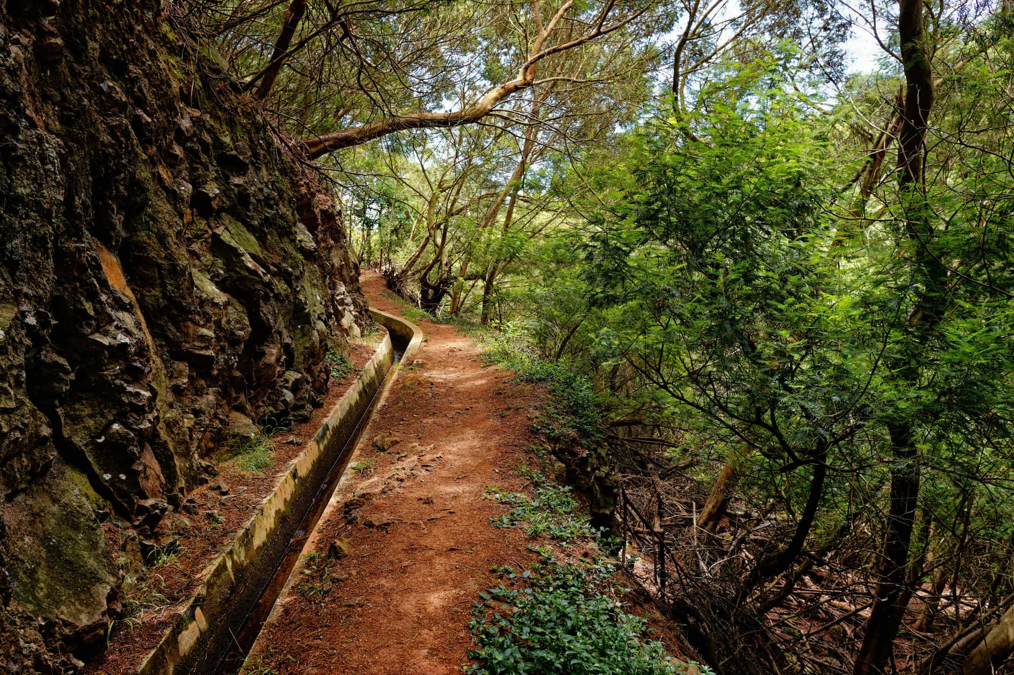 The Best Levada Walks in Madeira