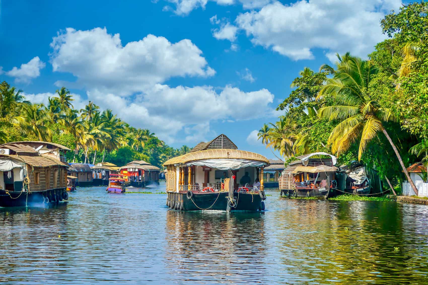 Keralan backwaters, India.