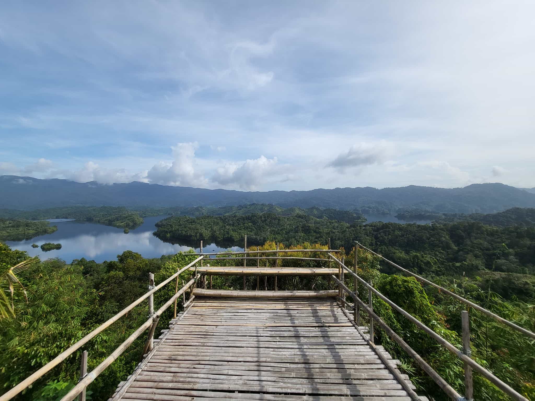 Wildlife Adventure in the Jungles of Borneo