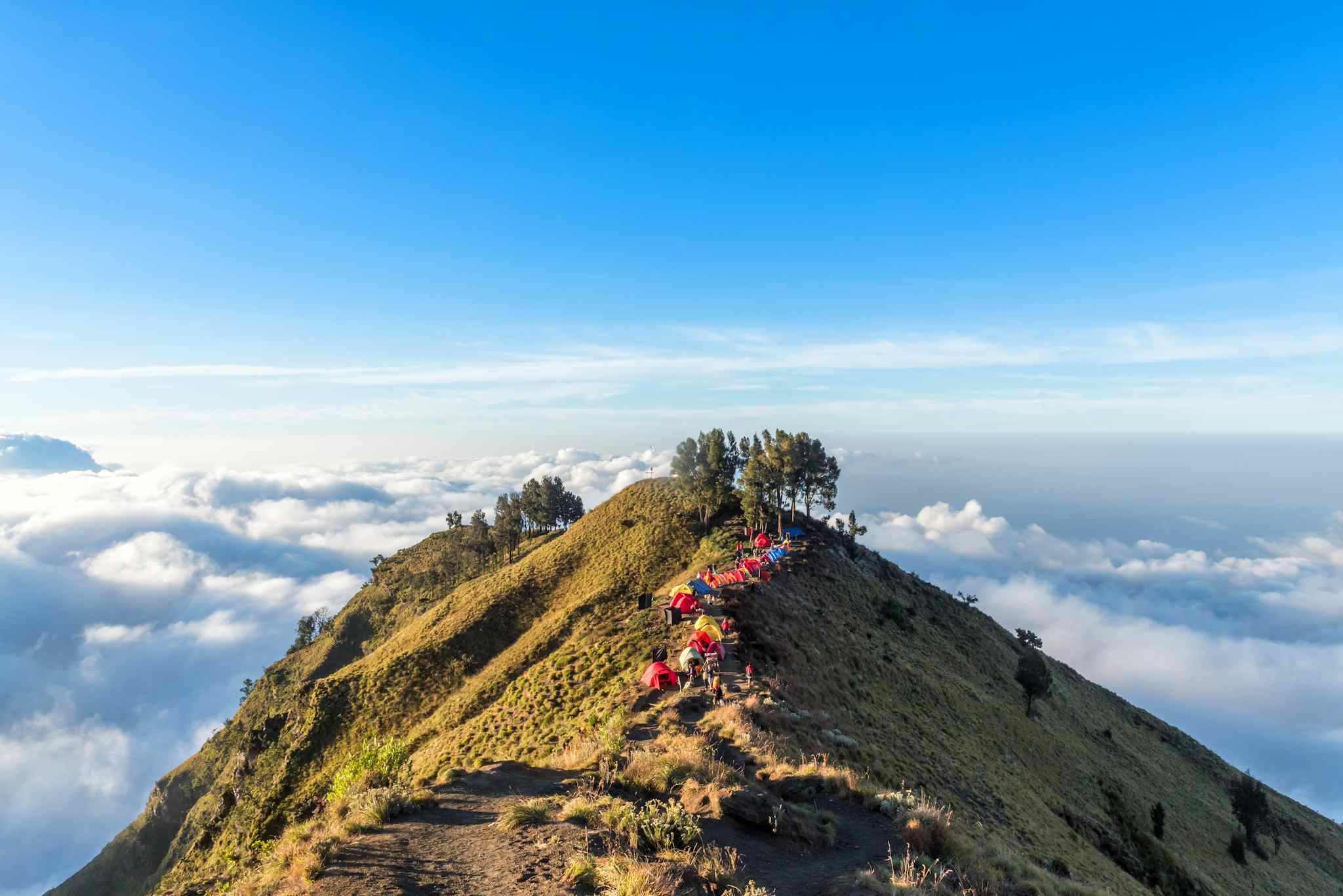 Group of trekkers camping on a ridge at Mount Rinjani volcano, Indonesia. Photo: Getty-874887810