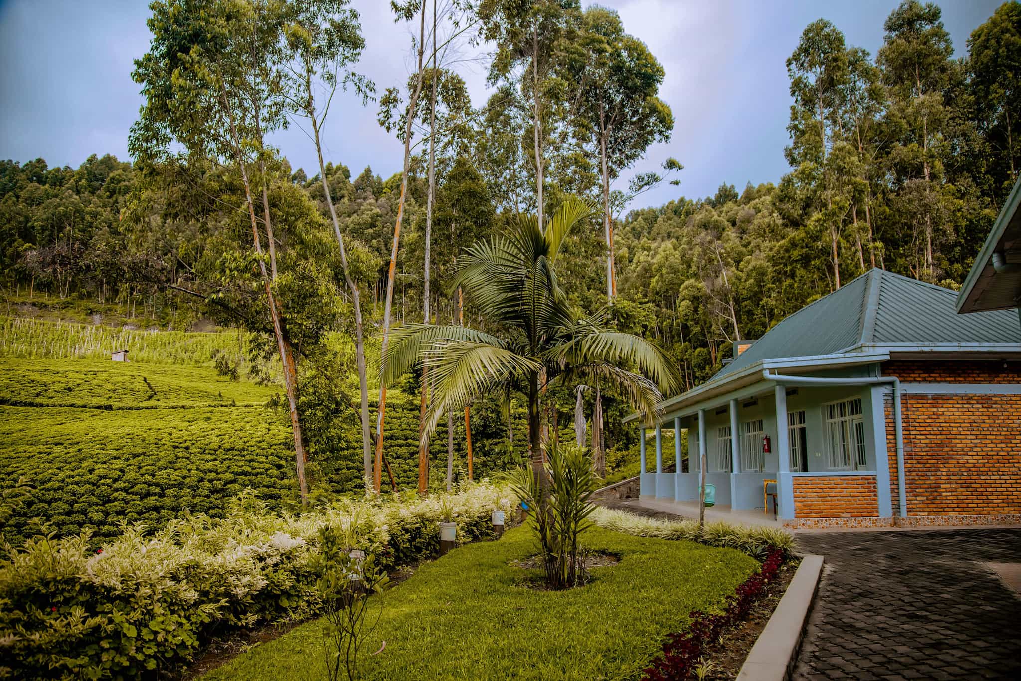 Ken Barham Guesthouse, Nyungwe Forest. Photo: Host/Kingfisher Journeys