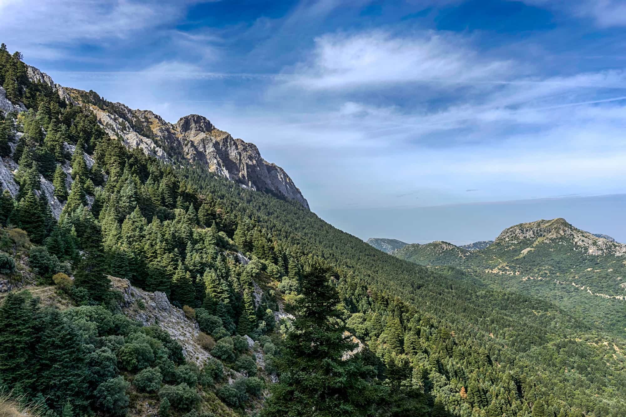 Pinsapar Trail, Andalucia, Spain.