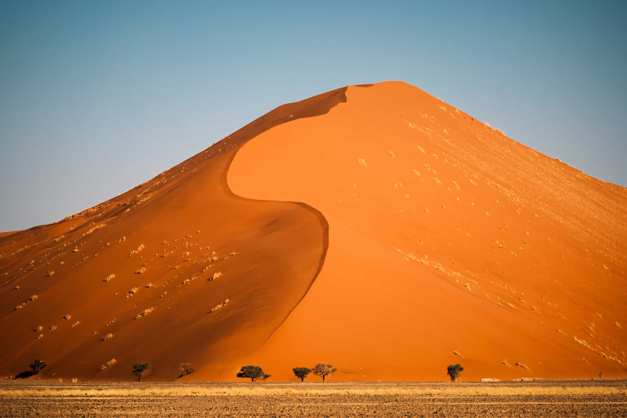 Dune 40 against clear blue sky in the Sossusvlei area, Namibia