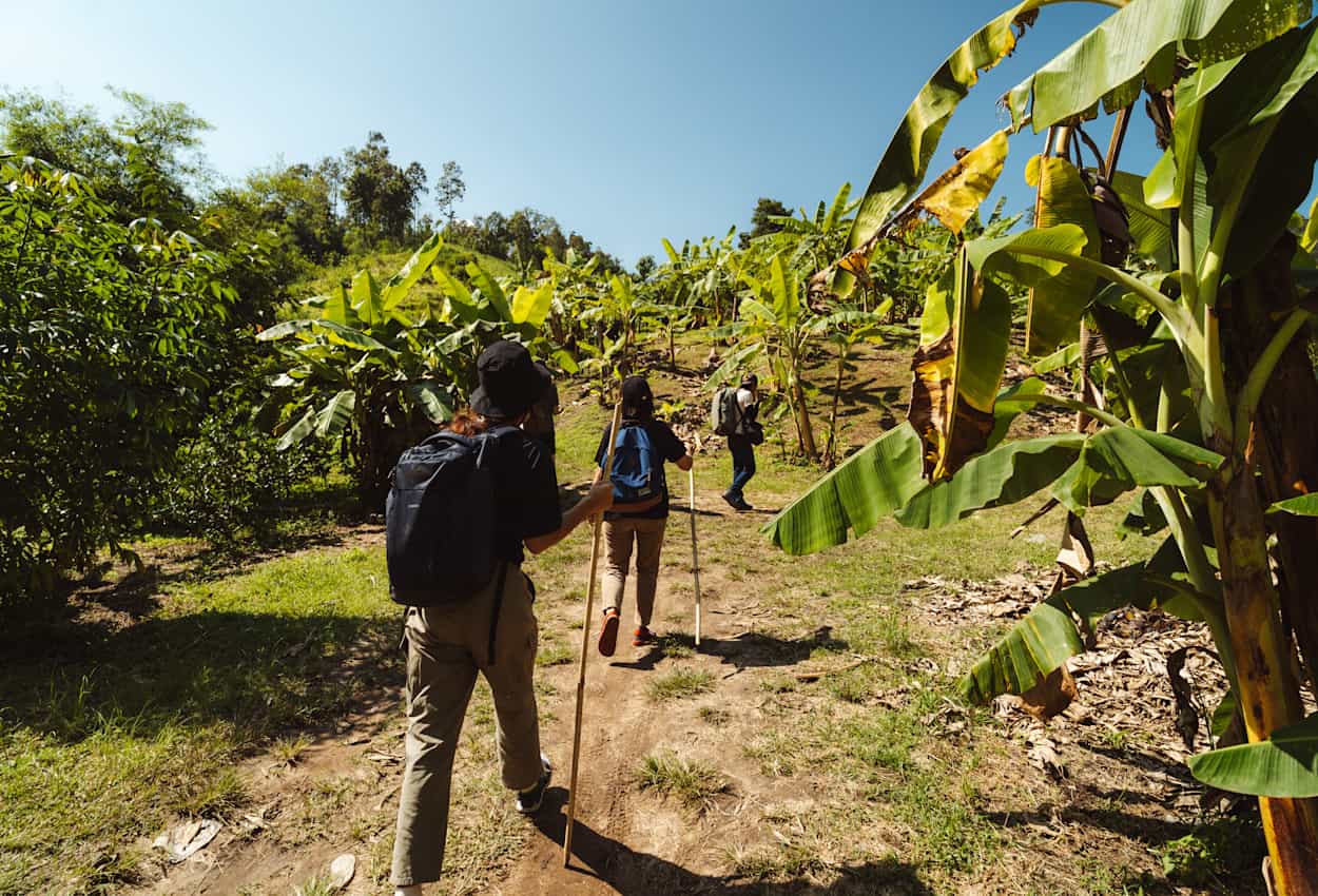 Mae Taeng Trekking.