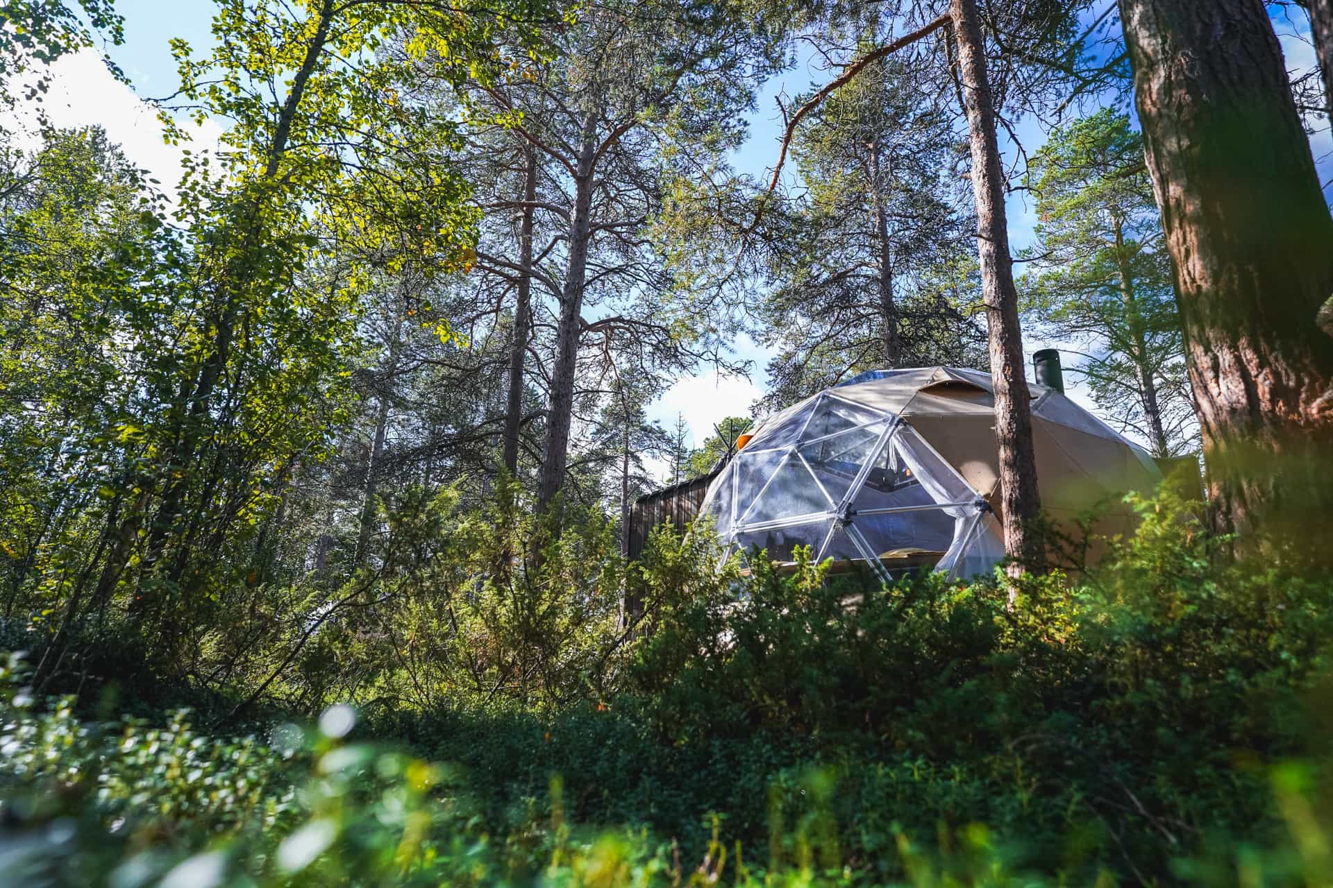 Arctic dome in the forest in Alta, Norway