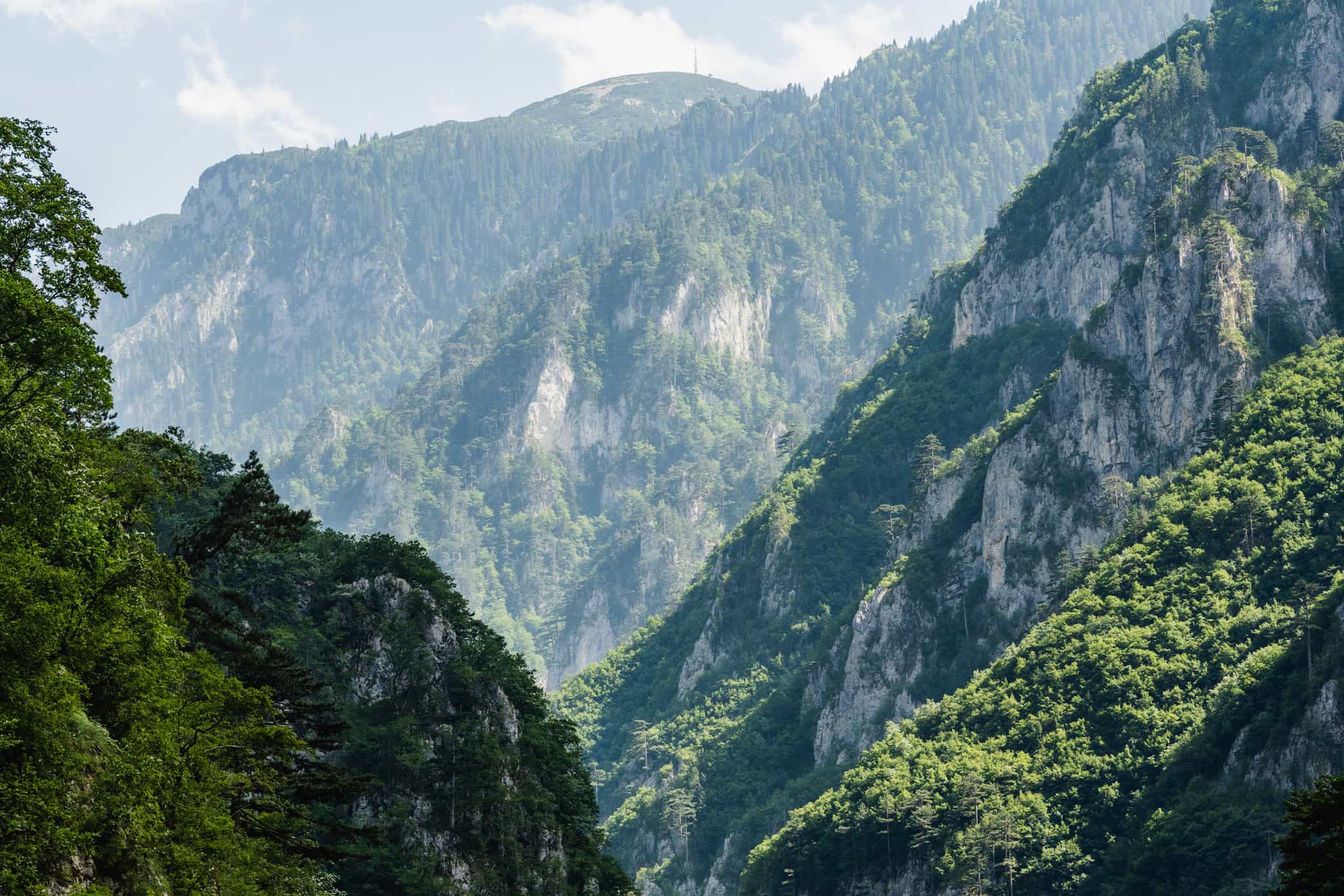 Packraft expedition, Tara River, Montenegro
Photo: Host/Balkan Expeditions