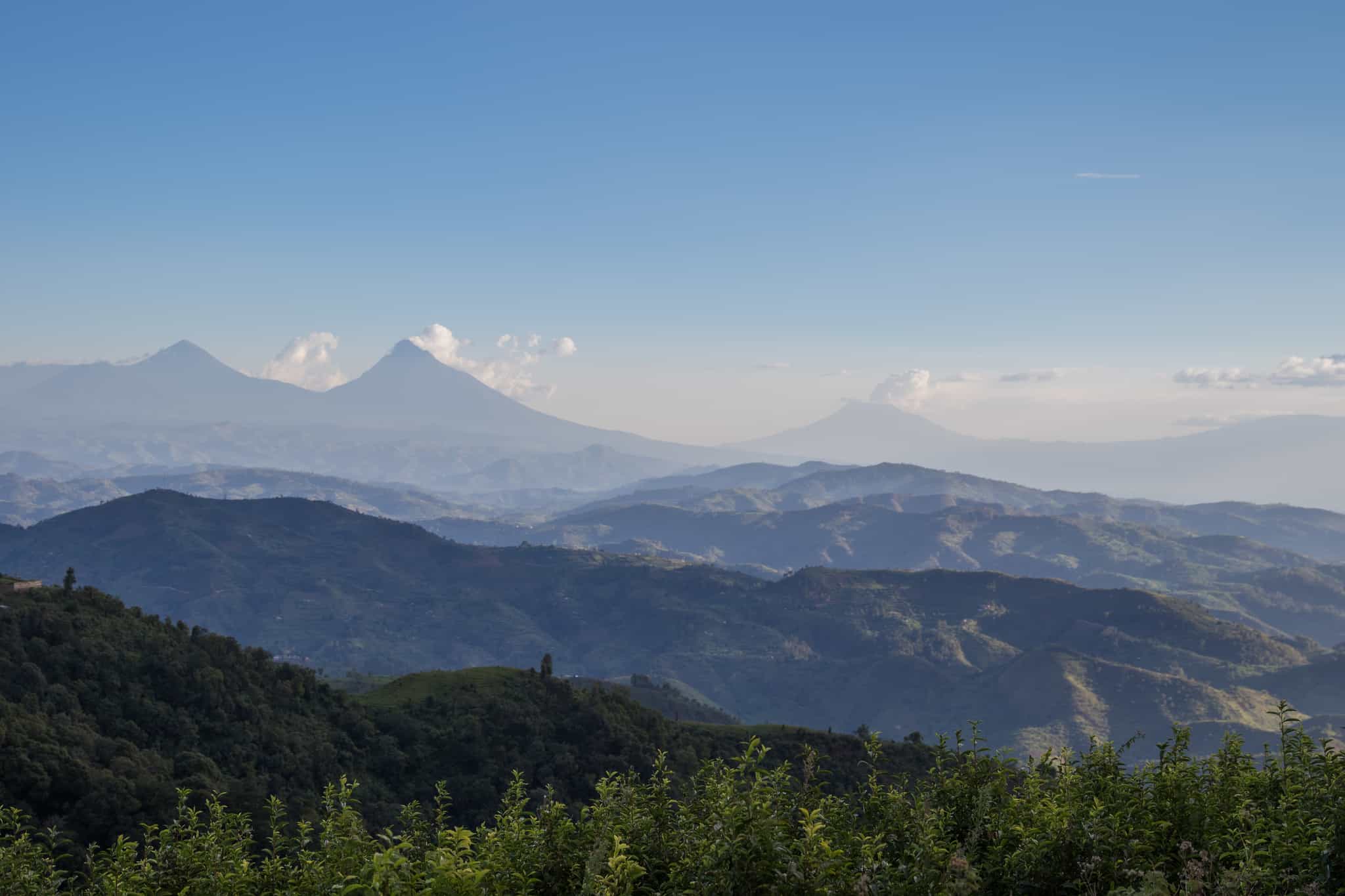 Bwindi Impenetrable Forest, Uganda, Getty