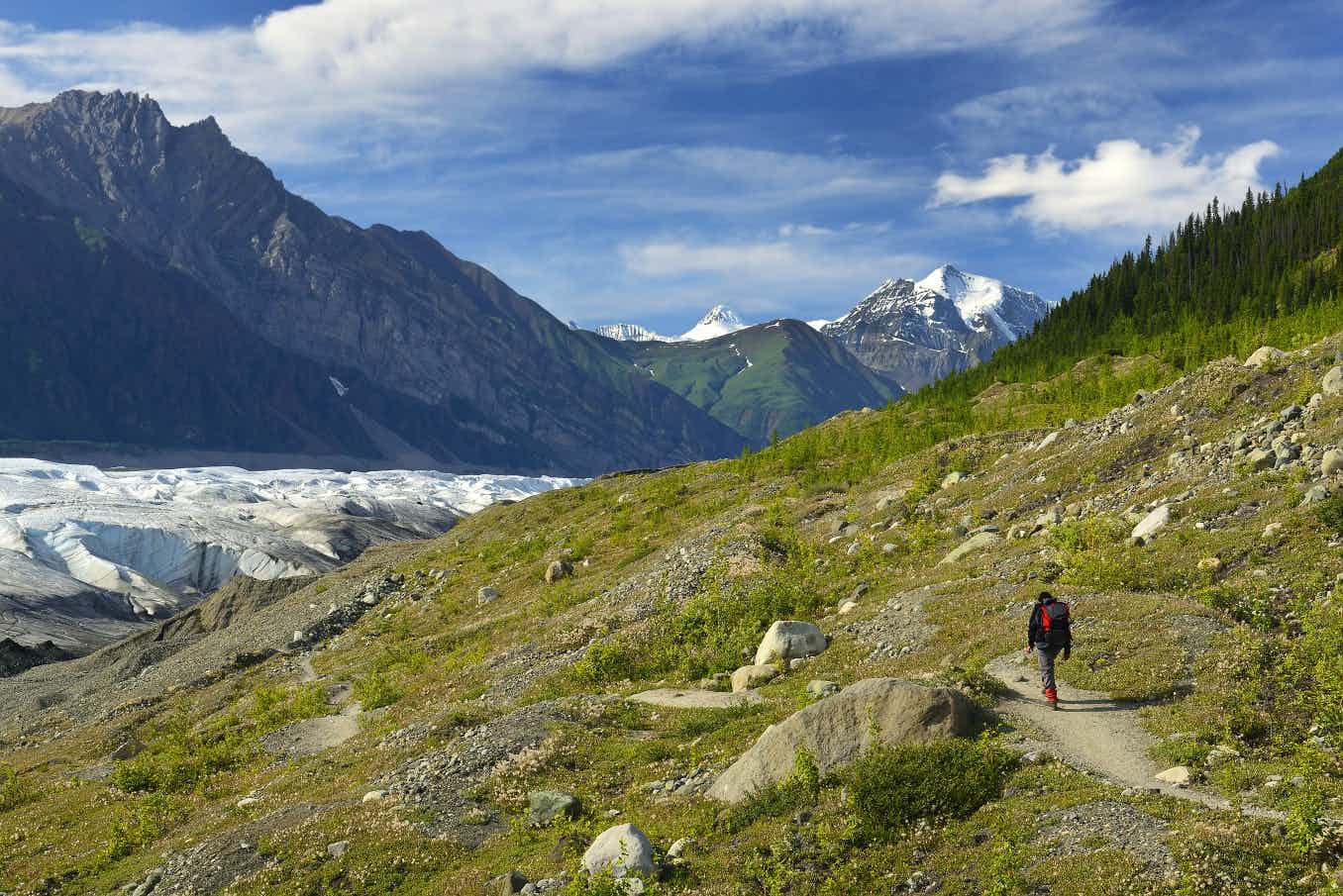 Root Glacier Trail, Wrangell, Alaska, USA
Shutterstock: 1208651128