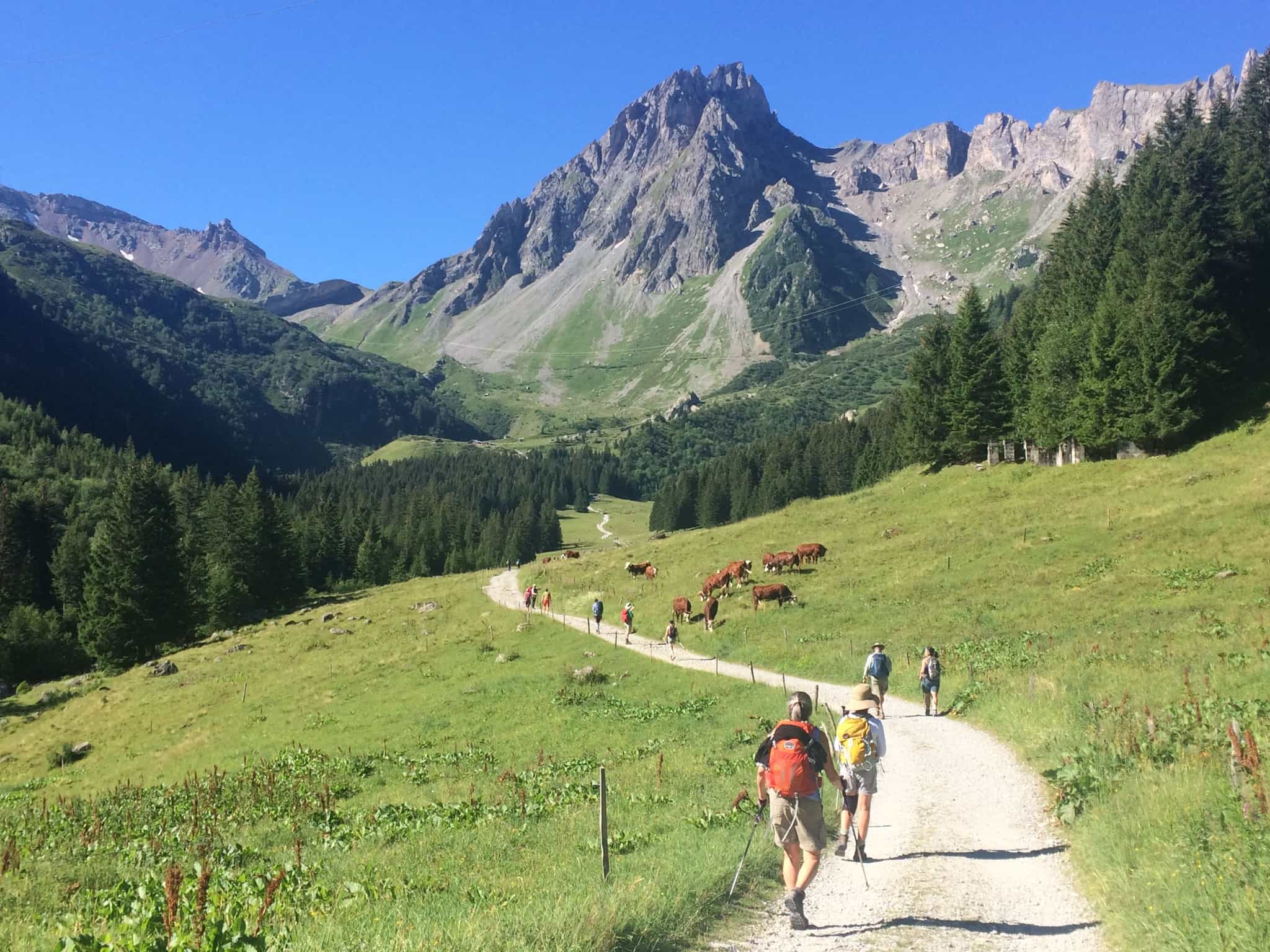 A group hiking to Notre Dame on the Tour du Mont Blanc