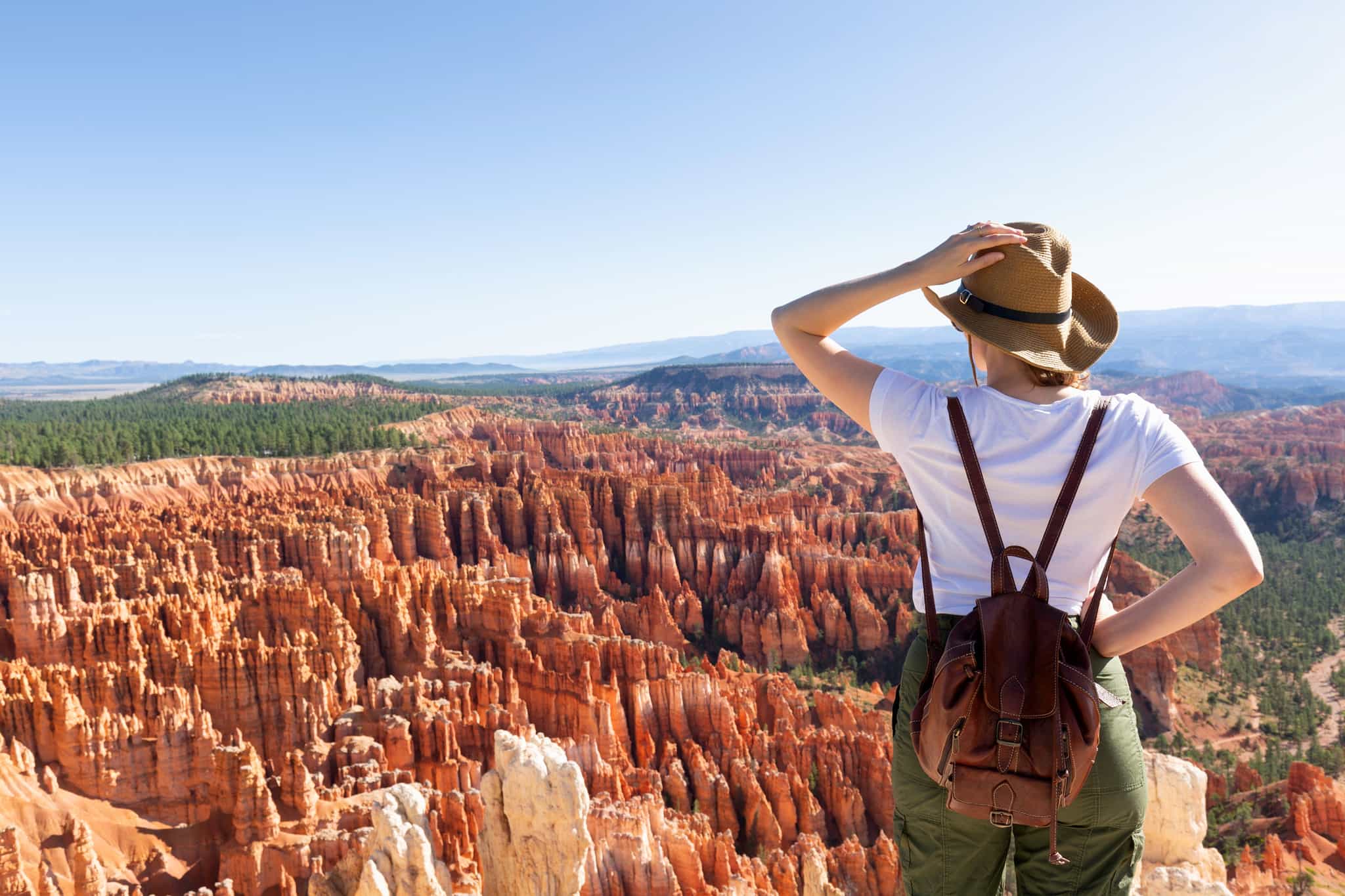 Bryce Canyon National Park, Utah, USA. shutterstock 2588447385
