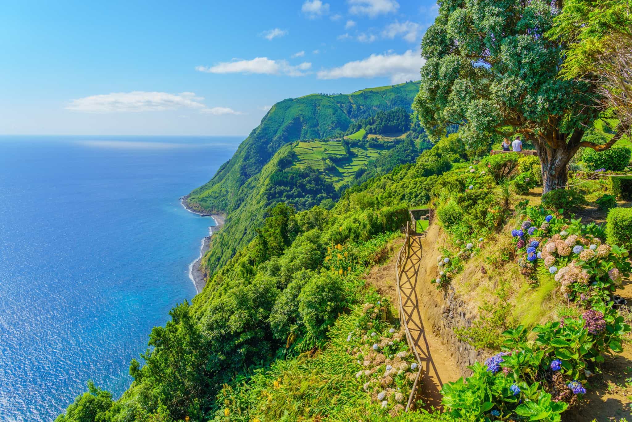 Ponta da Madrugada in Nordeste region, Sao Miguel island, Azores.