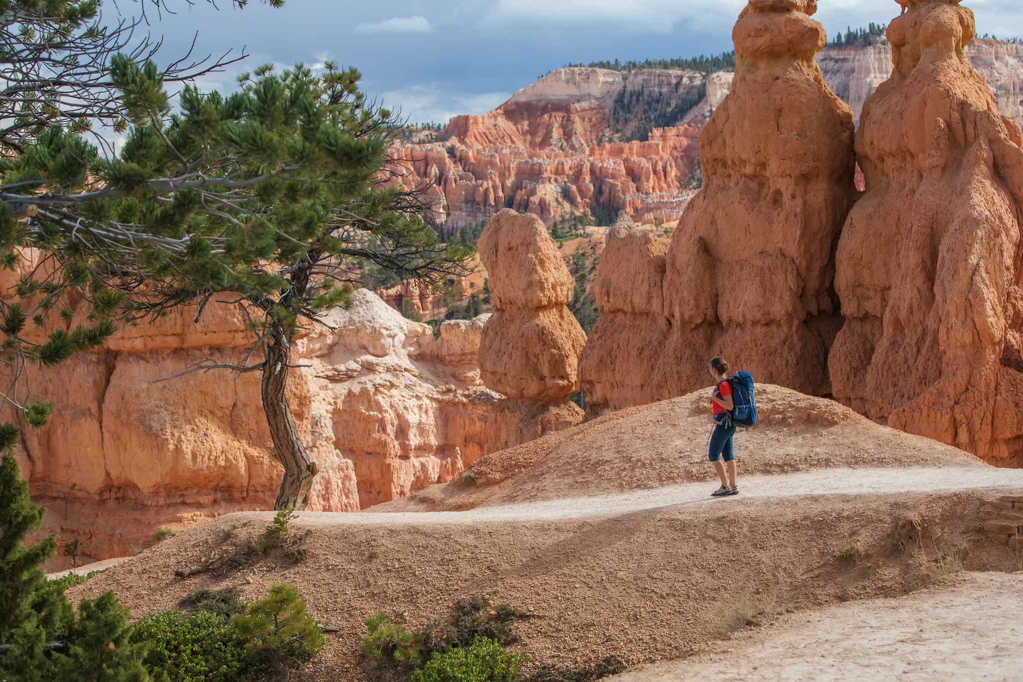 Hiker in Bryce canyon National park in Utah, USA
Getty: 960260968
