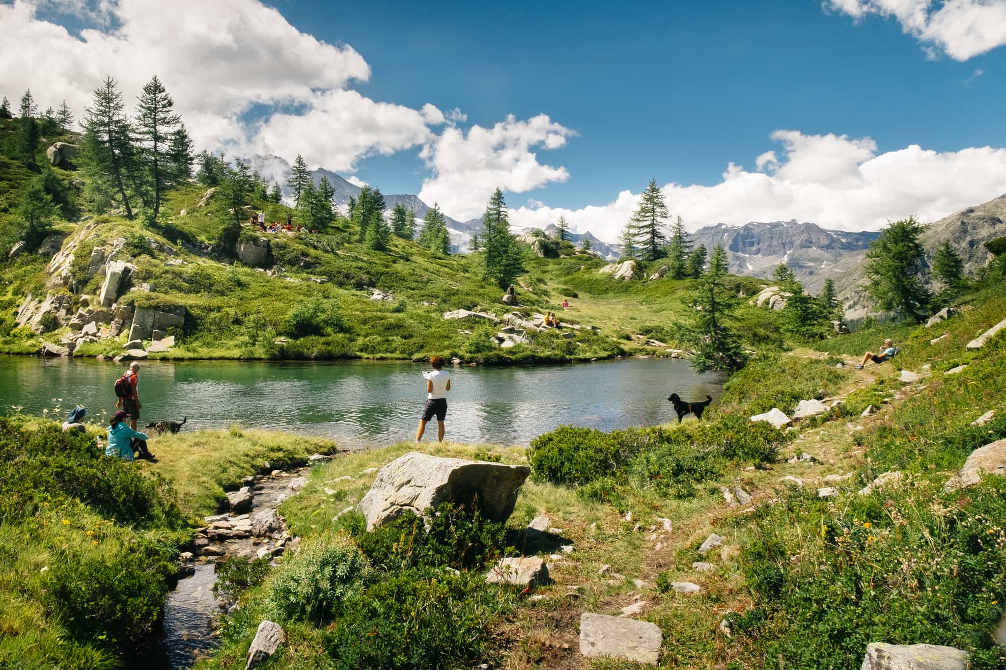 Hiker in the Gran Paradiso National Park.