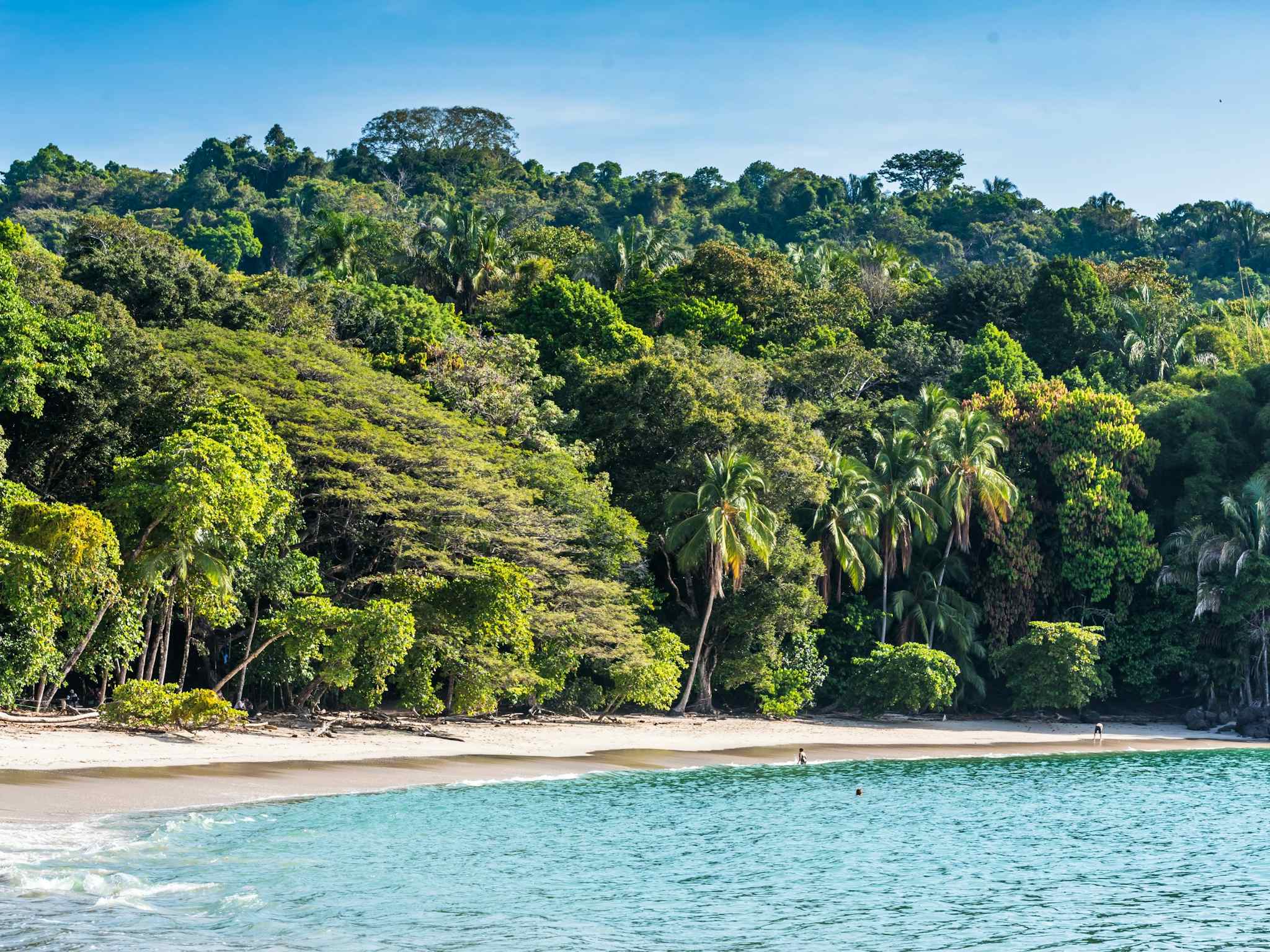 A beautiful tropical beach at Manuel Antonio, on the Pacific Coast of Costa Rica