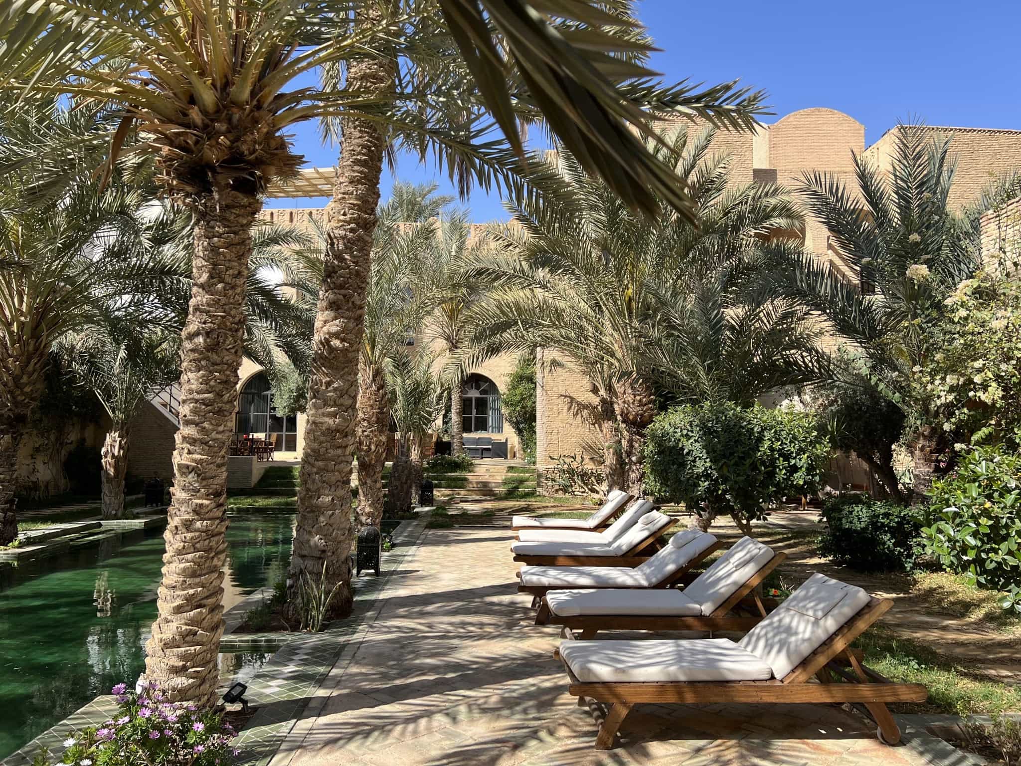 Palms and loungers by the pool of Dar Tozeour Hotel in Tunisia.