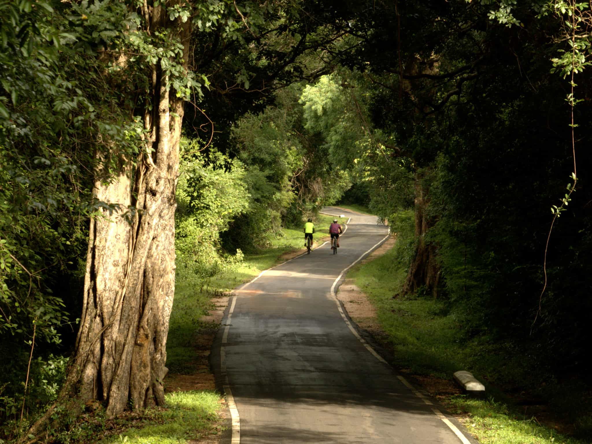 Cycling along a forested backroad, Sri Lanka