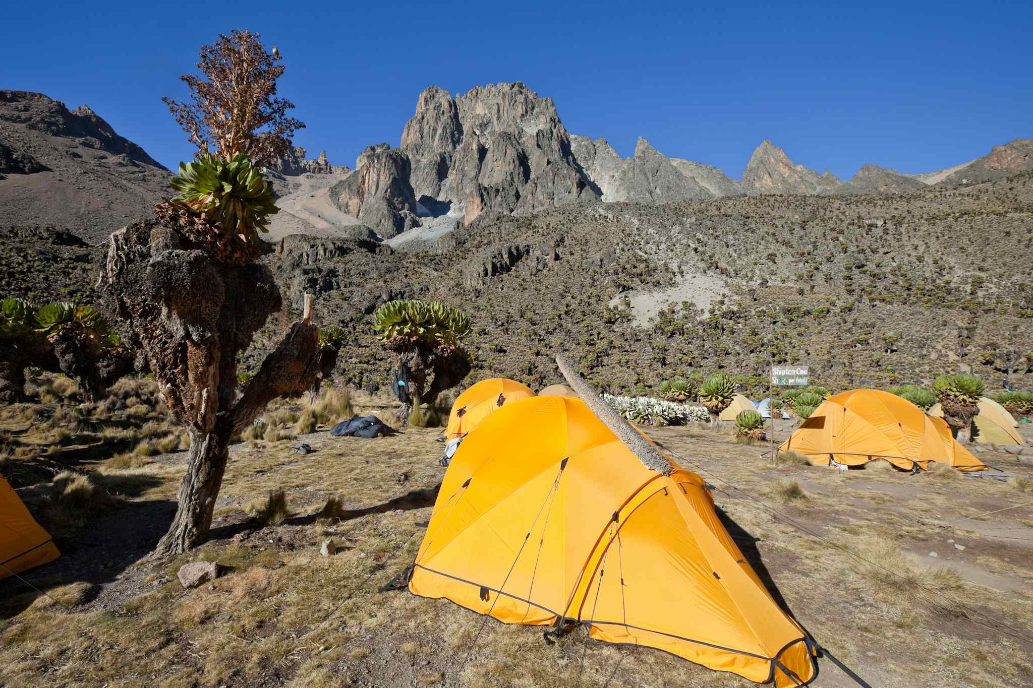Tents in the sun at Shipton's Camp on Mount Kenya. Photo: GettyImages-176119586