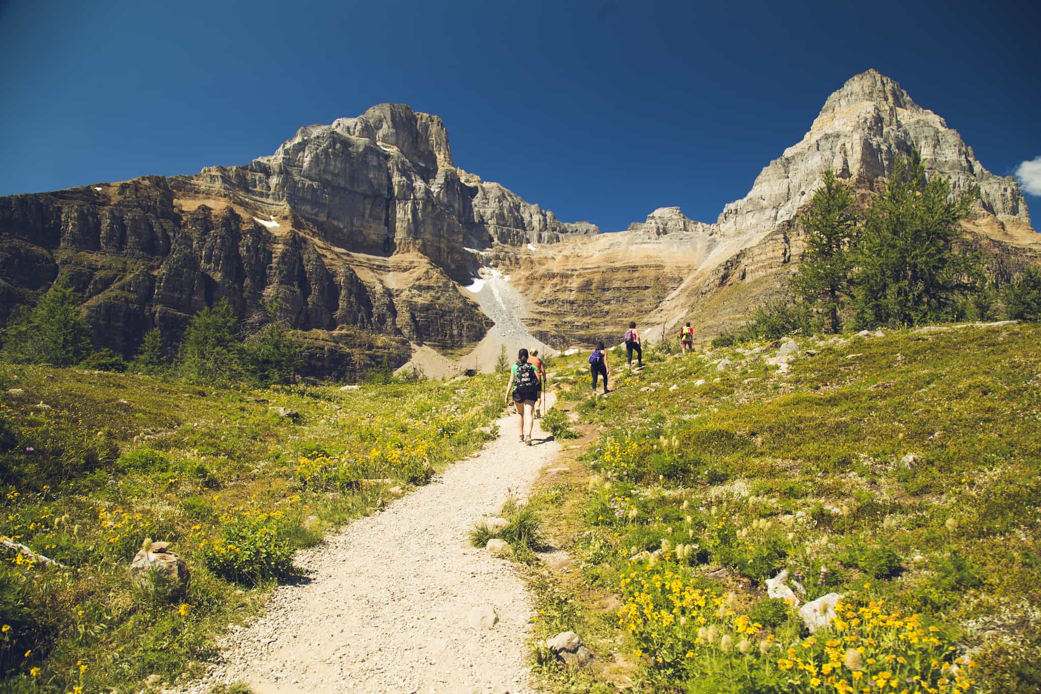 Hikers on the Sentinal Pass Trail, Banff NP, Canada.