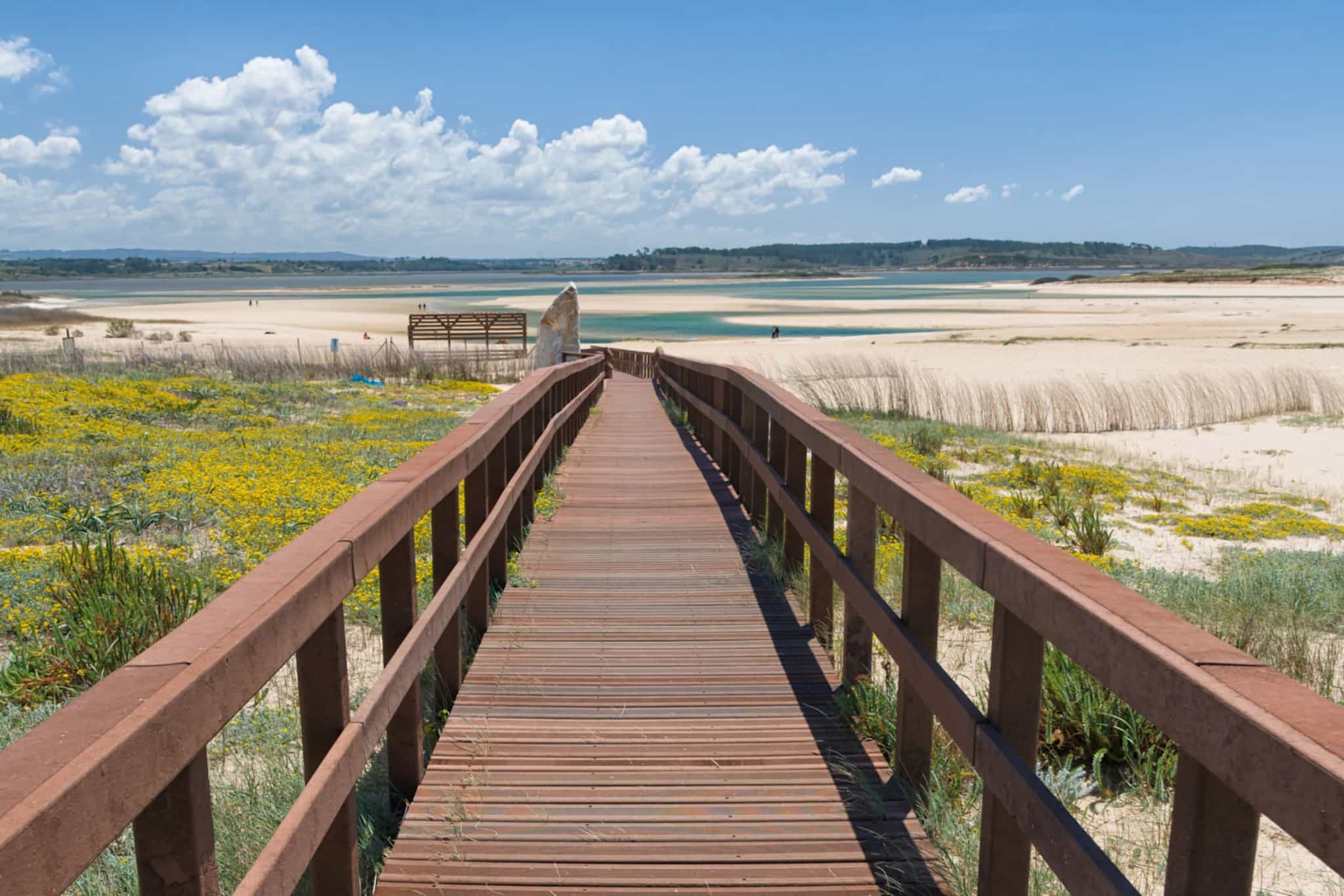 Wooden path within Lagoa de Santo André natural park, Alentejo, Portugal