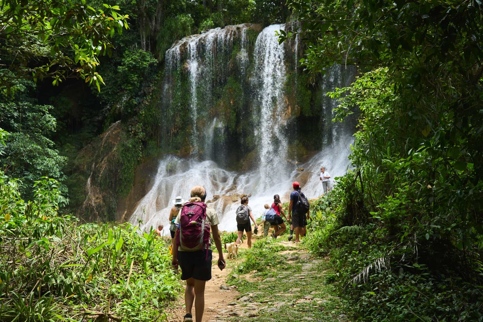 El Nicho Natural Park, Cuba. Commissioned/Daniel Wildey