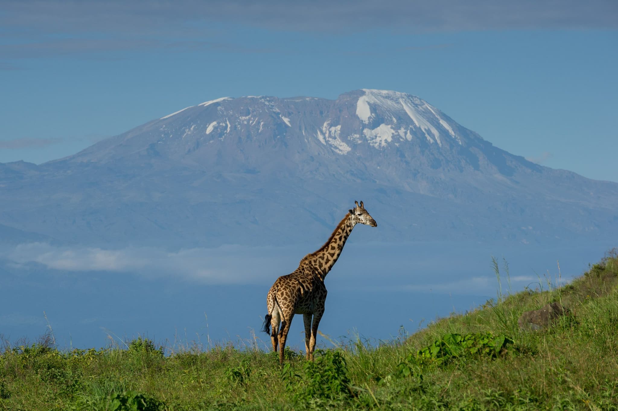 Safari Adventure in Tanzania