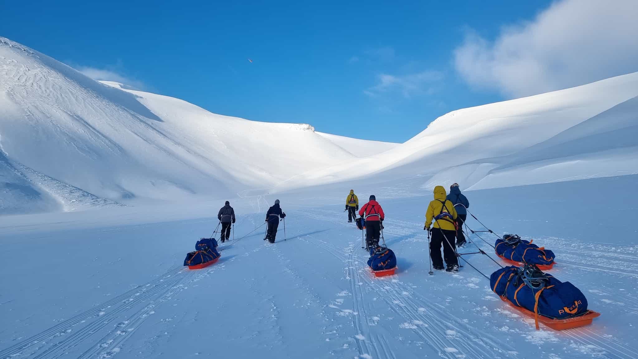 People pulling pulkas as they hike through Svalbard in the snow.