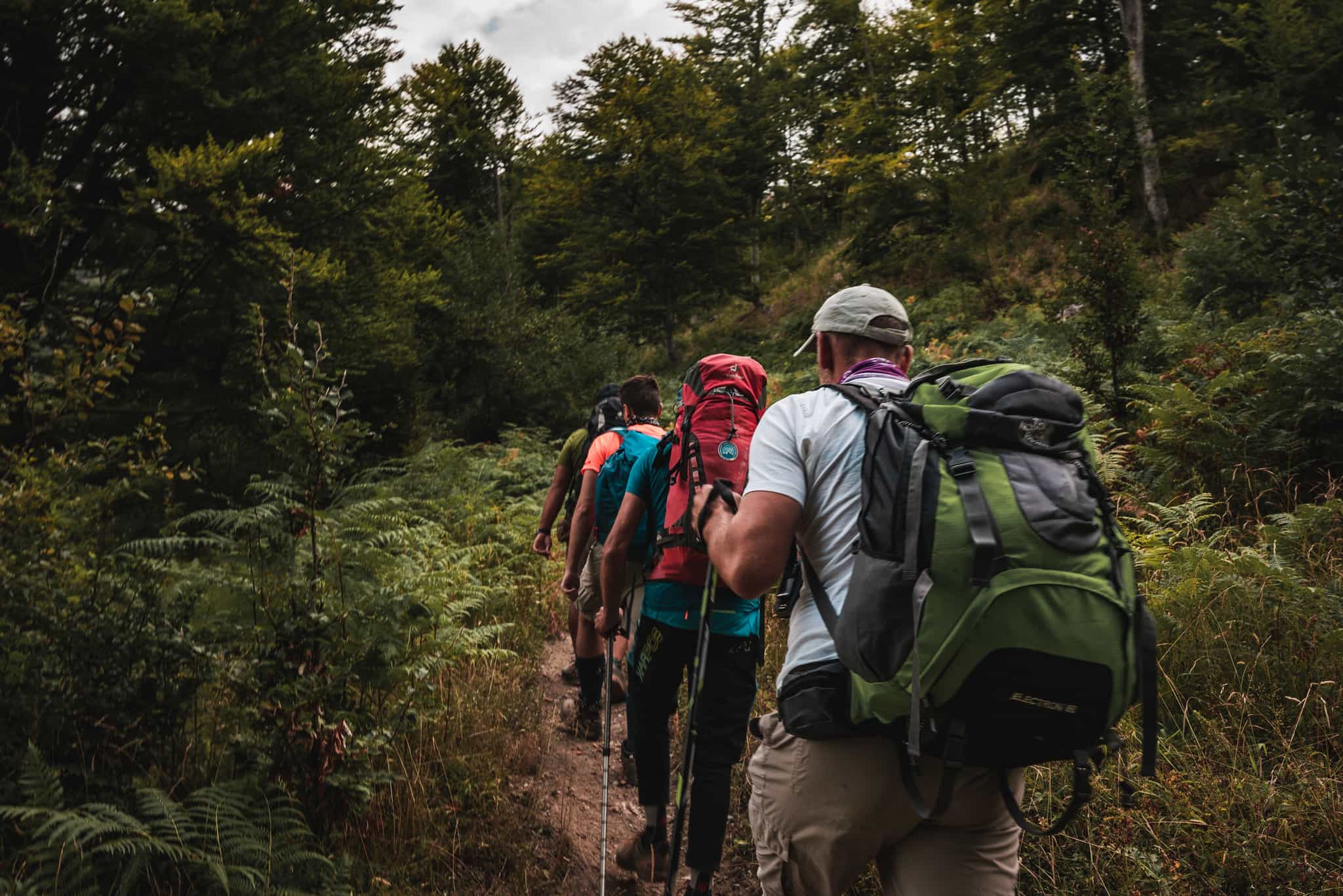 Hikers climbing through the forest, Sharr Mountains, Kosovo. Photo Butterfly Outdoor Adventure