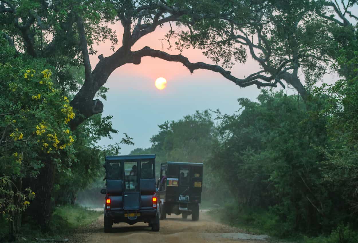 Jeep safari in Yala National Park.