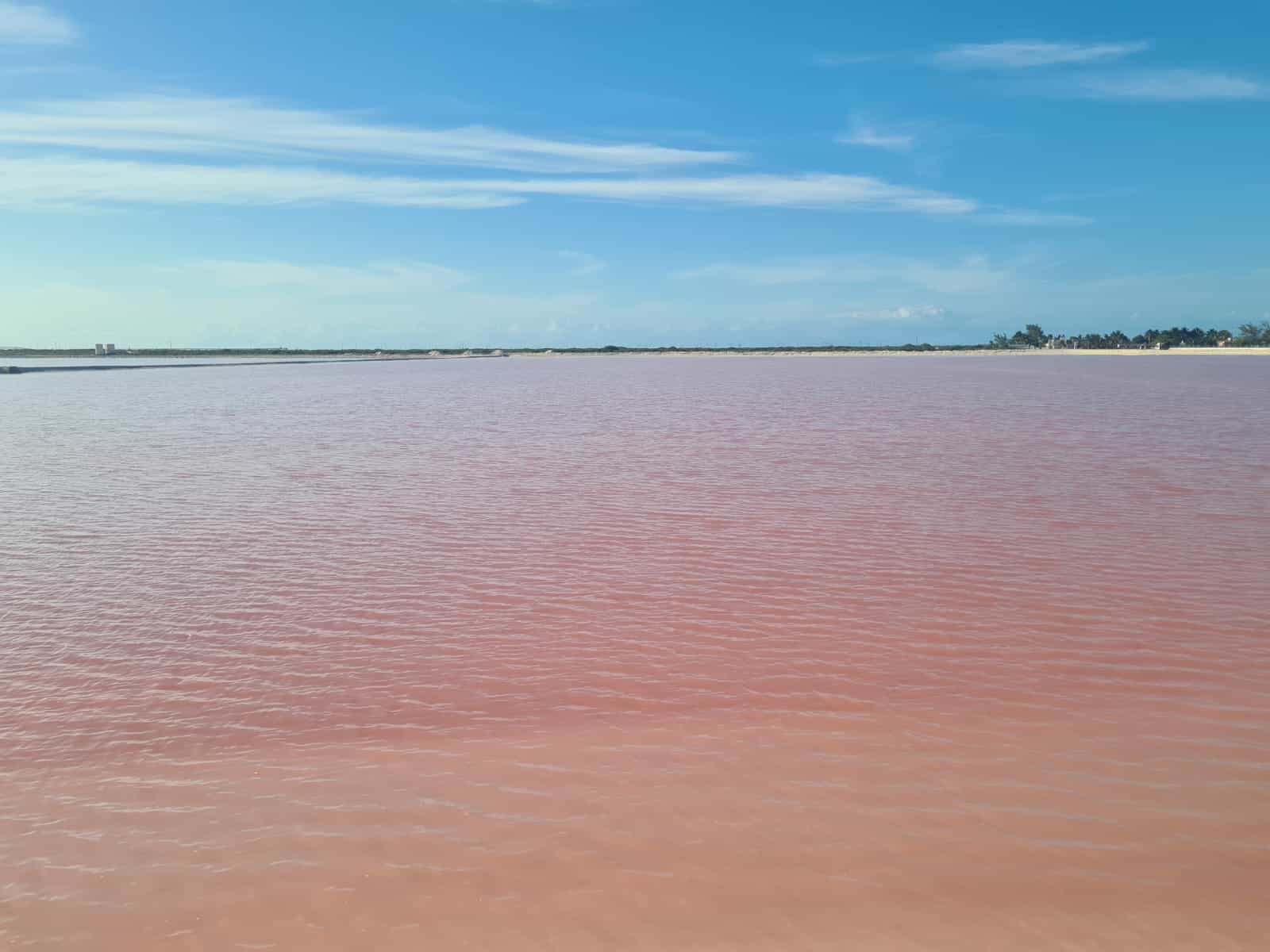 The pink waters of Las Colorados in the Yucatan Peninsula, Mexico.
