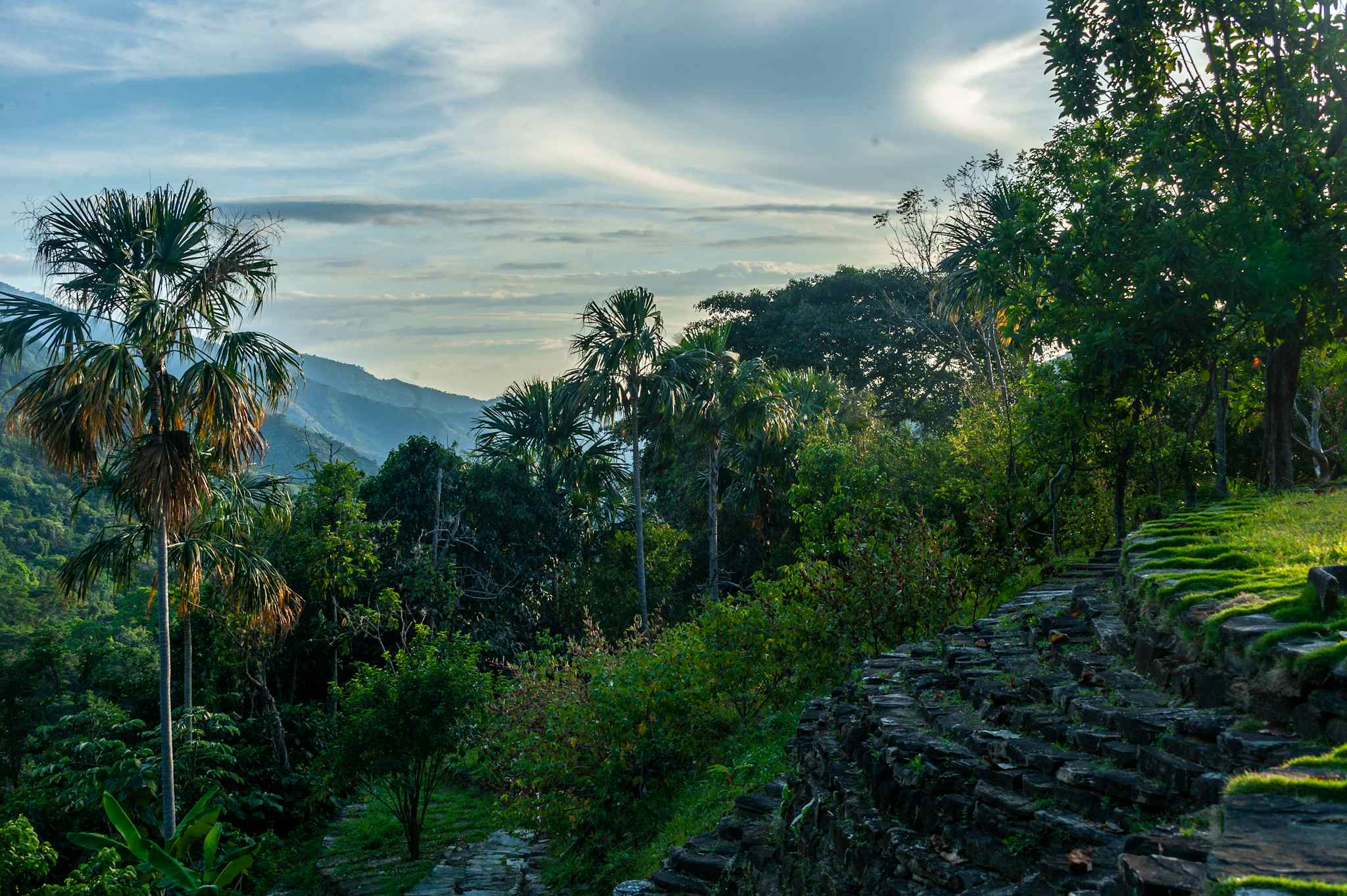 Ciudad Antigua, Trek, Minca, Colombia, Kagumu