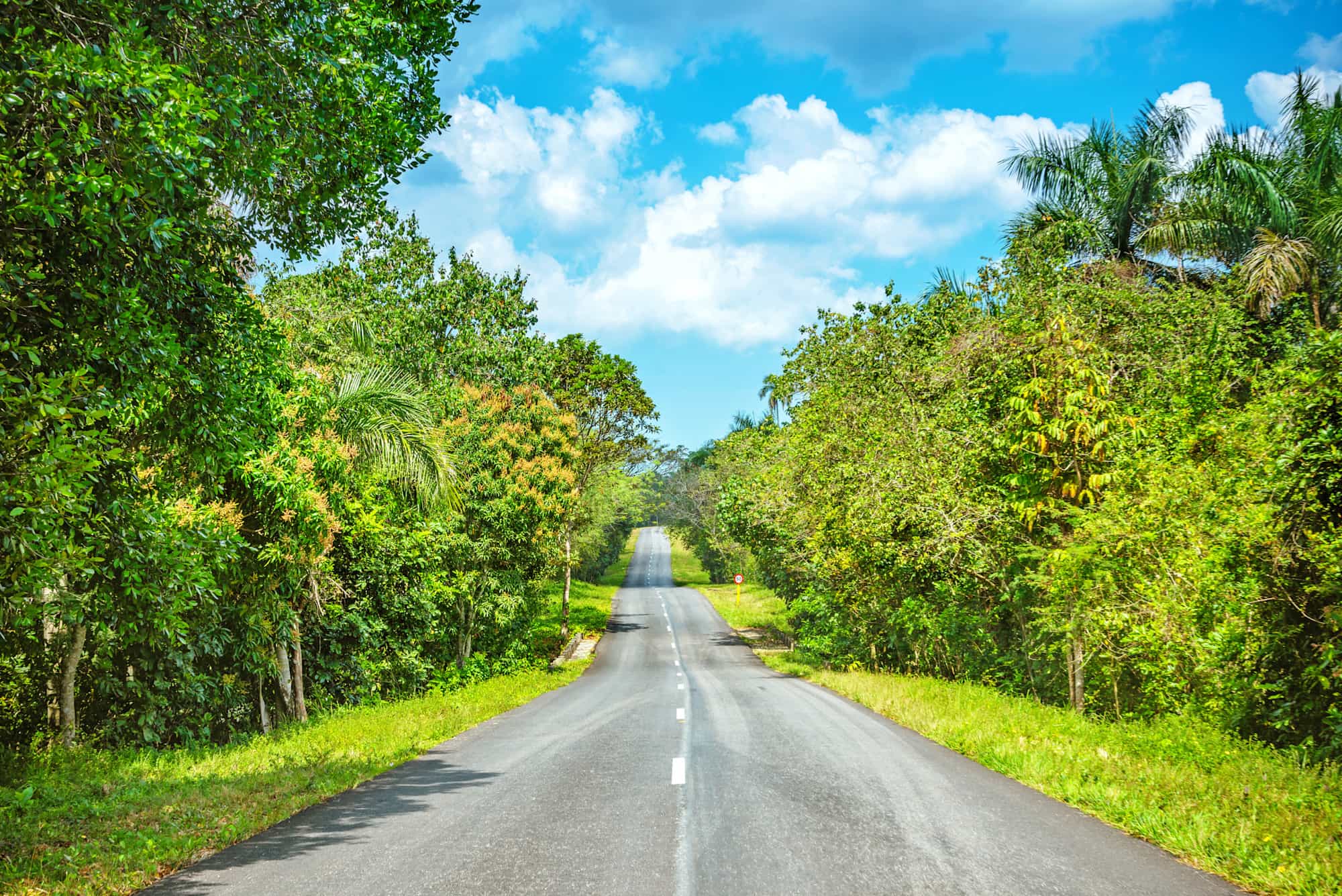 Country road in Cuba with landscape