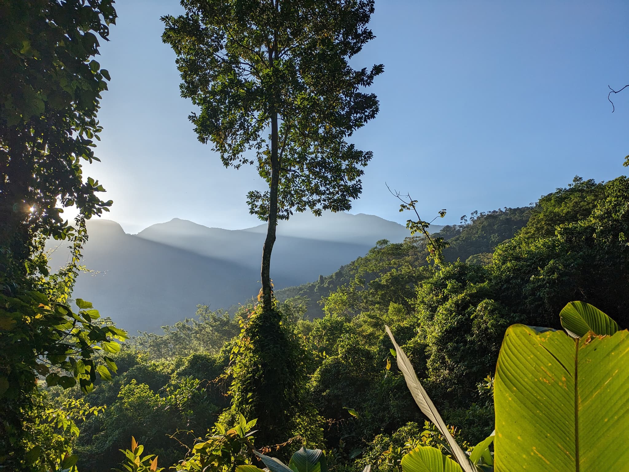 Trekking Lost City Colombia Kagumu