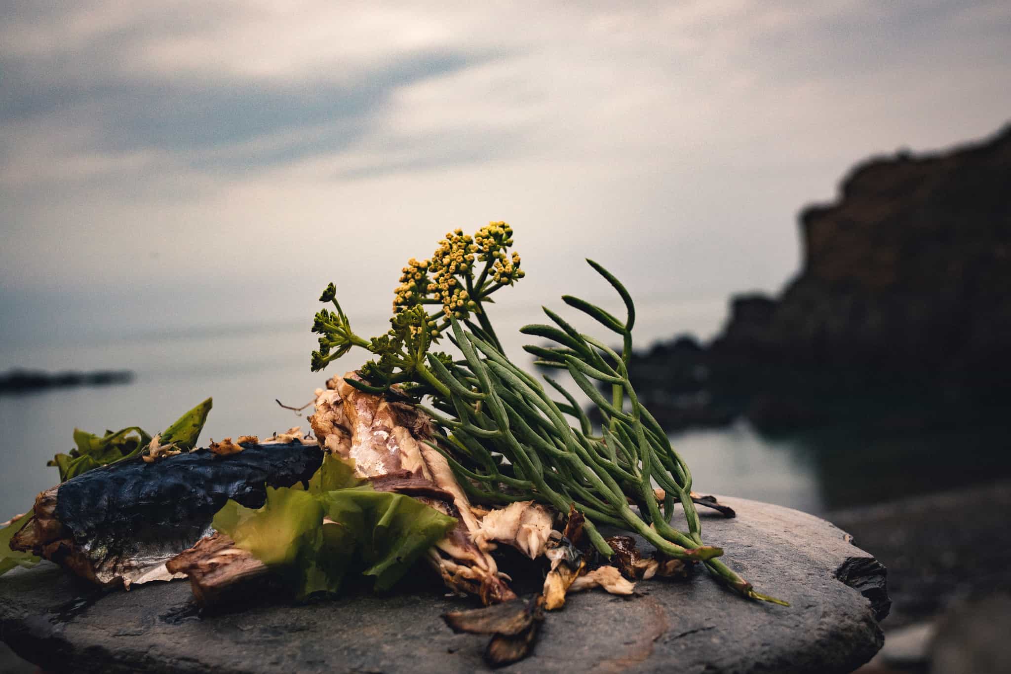 Sea Kayak, Forage, Fish and Wild Camp the Pembrokeshire Coastline