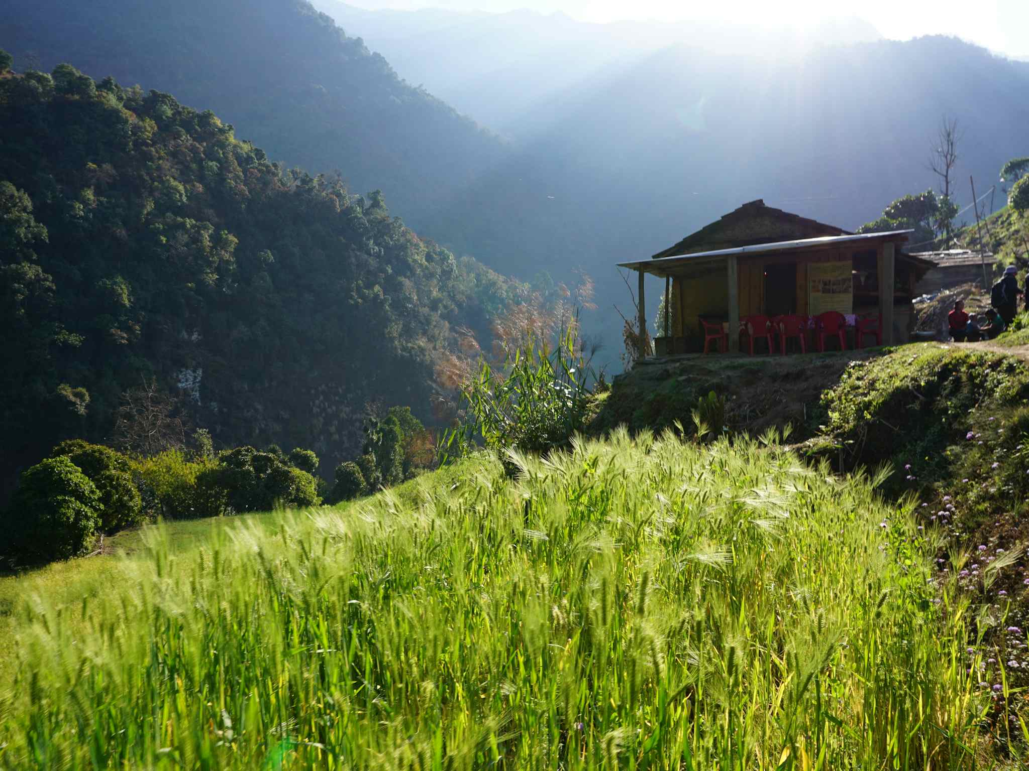 Chhetra Khola, Nepal. Photo: Host/Freedom Adventures