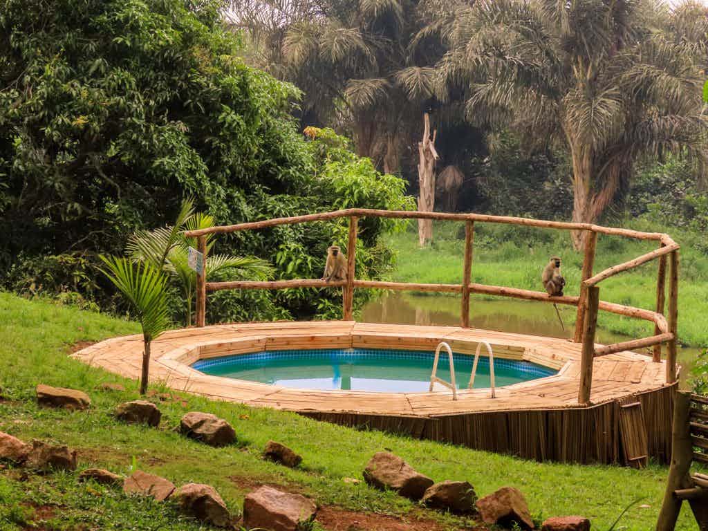 Hot tub, Monkeys, Viavia Guesthouse, Entebbe, Uganda Cycling, Hotel