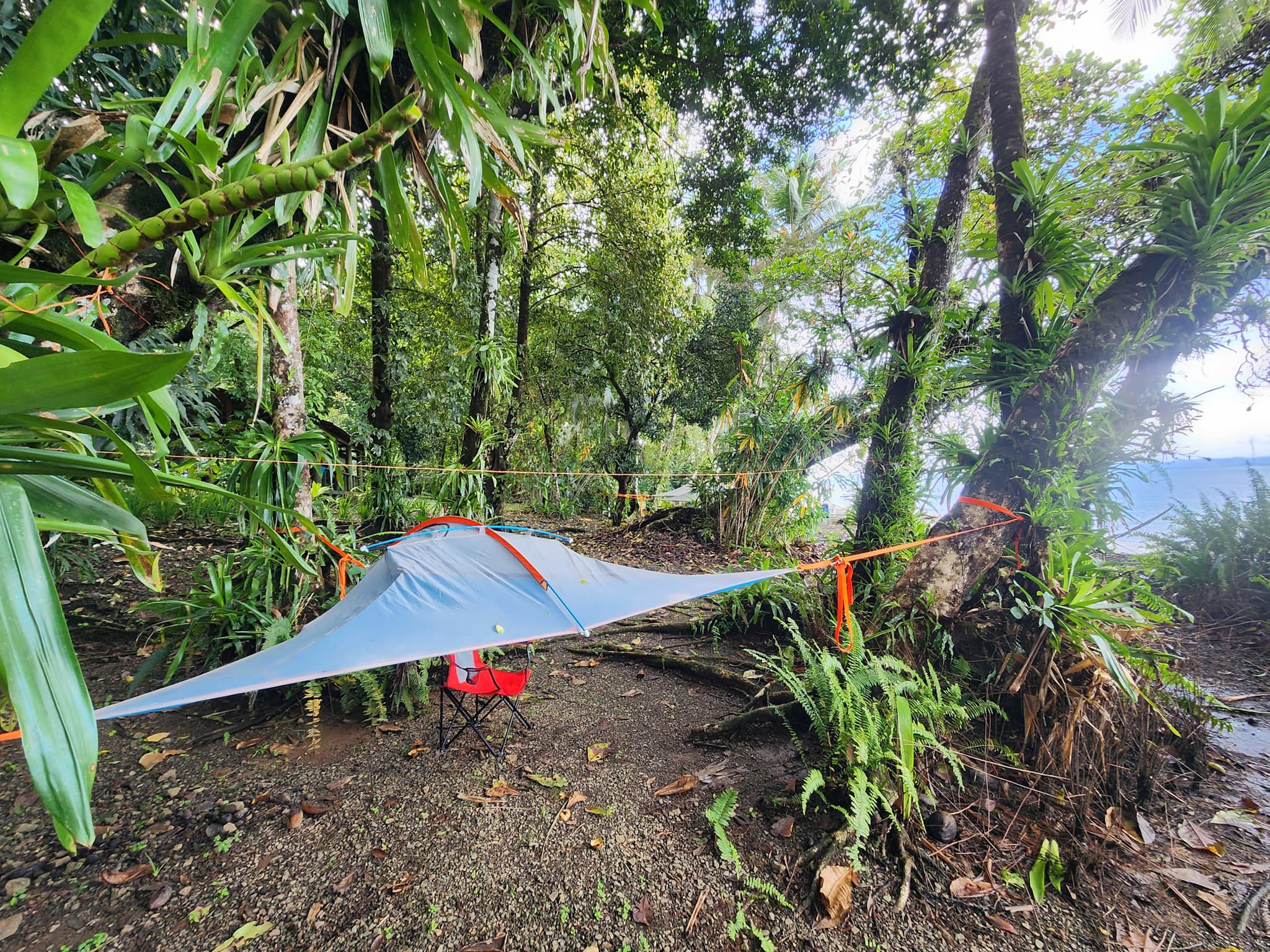 Tropical forest landscape in Costa Rica with a tree tent suspended between the trees.