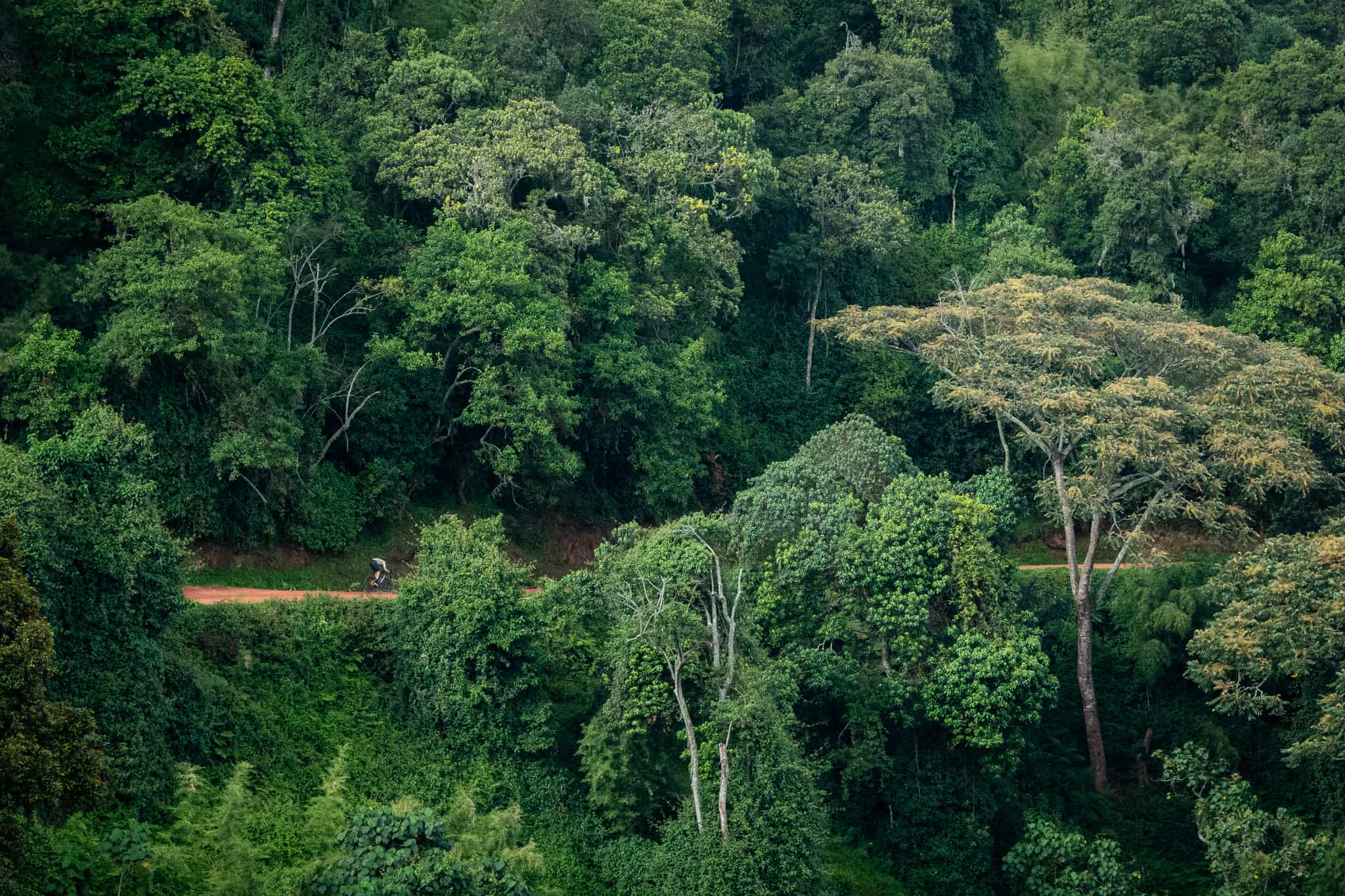 Gravel Biking, Jungle Road, Uganda Cycling, RedDirt