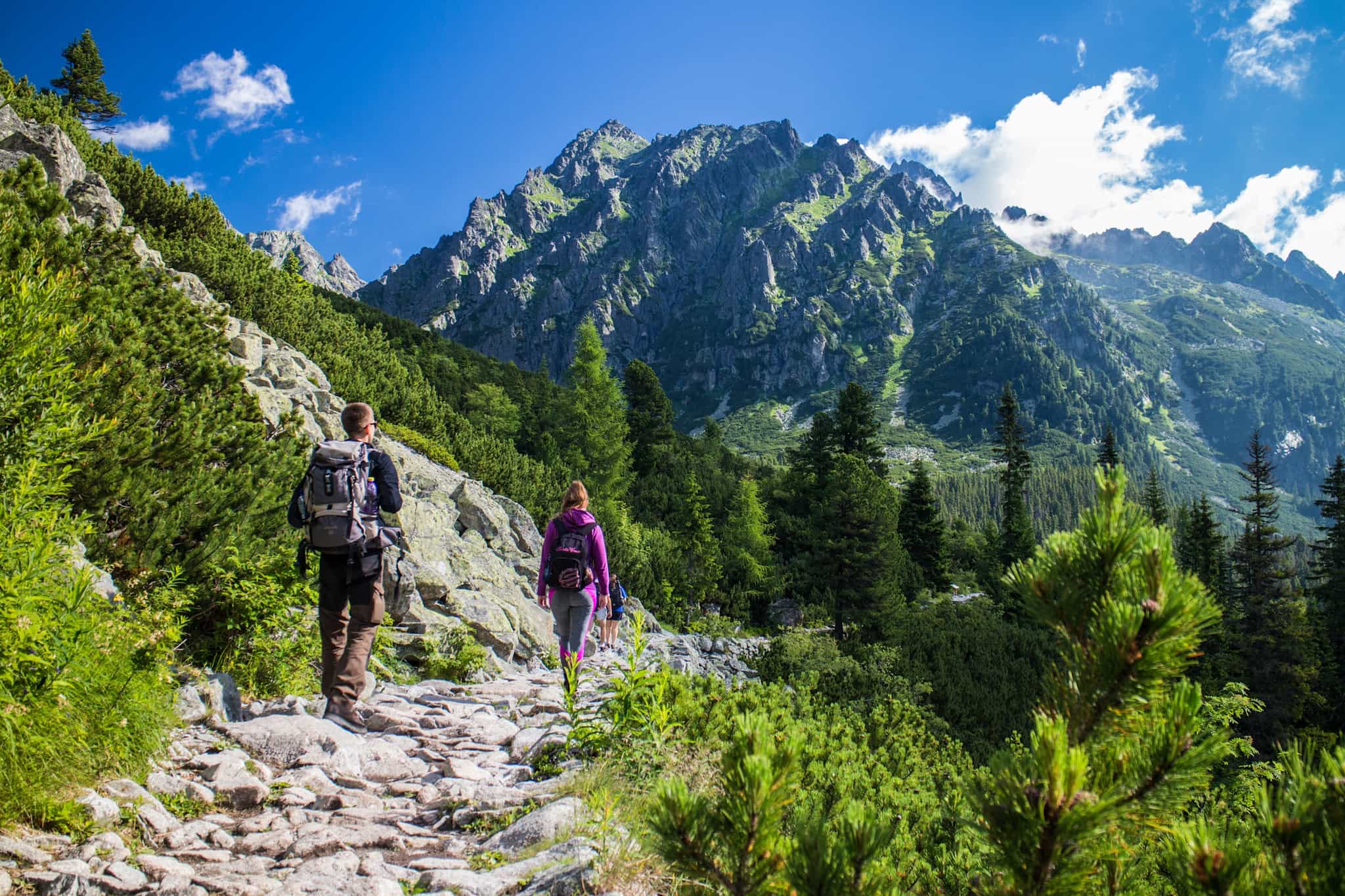 Hiking through the forest in the Tatra Mountains