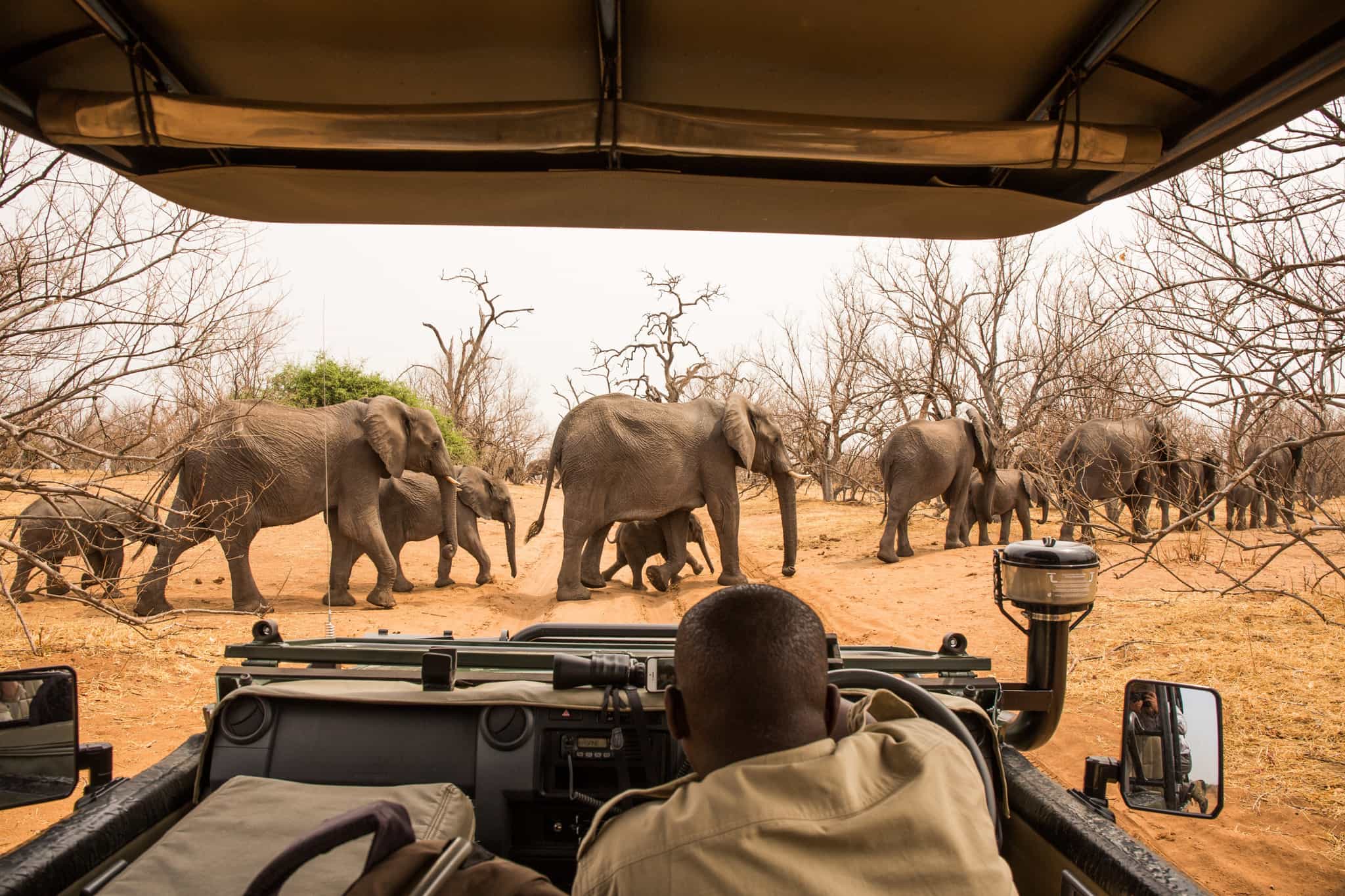 POV of a game drive in Chobe National Park, Botswana
Shutterstock_502520005